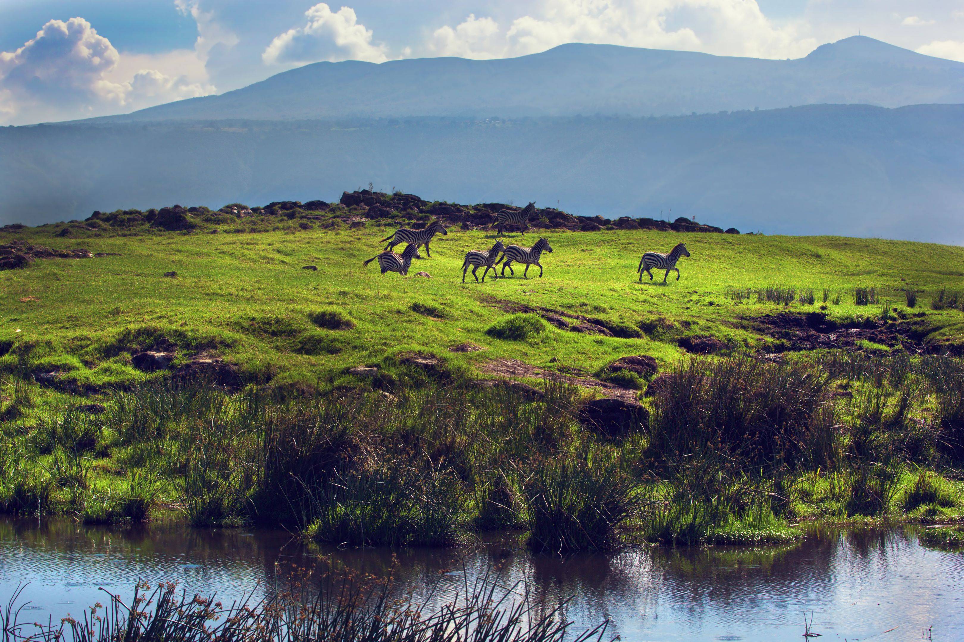 Découverte du cratère du Ngorongoro