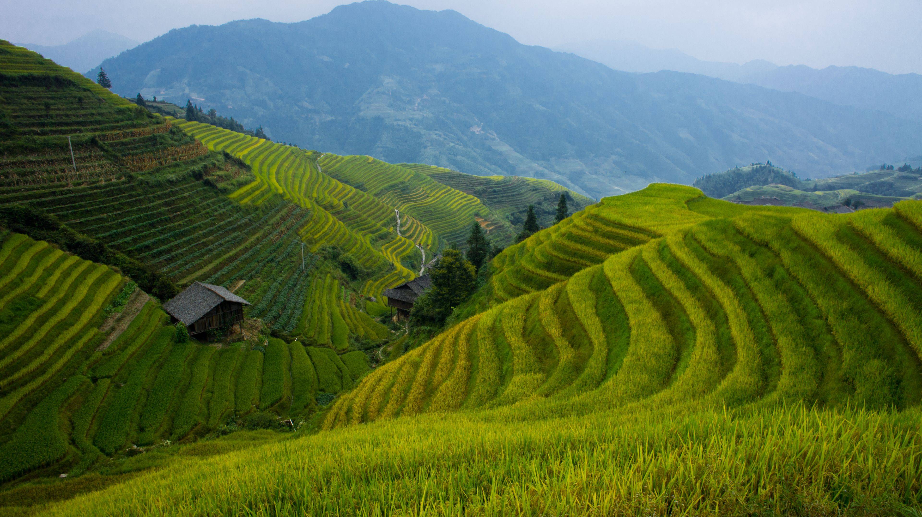 ​Auf den Spuren der Yao durch die Reisfelder