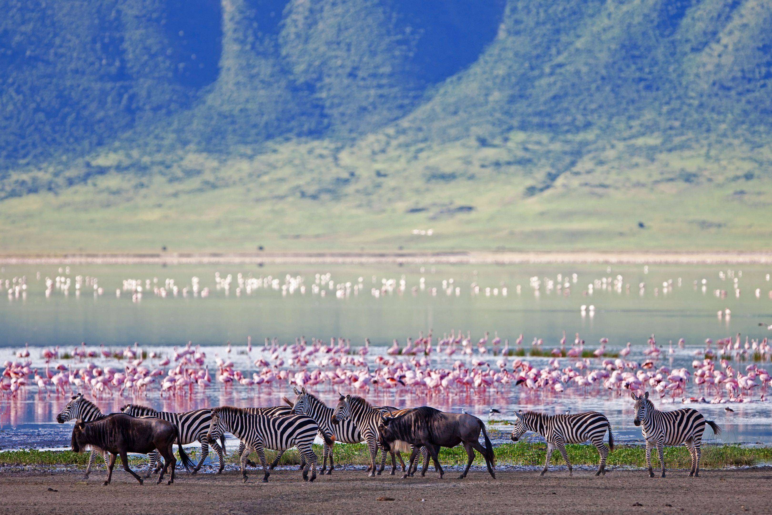 Parque Nacional del Serengeti y Cráter Ngorongoro