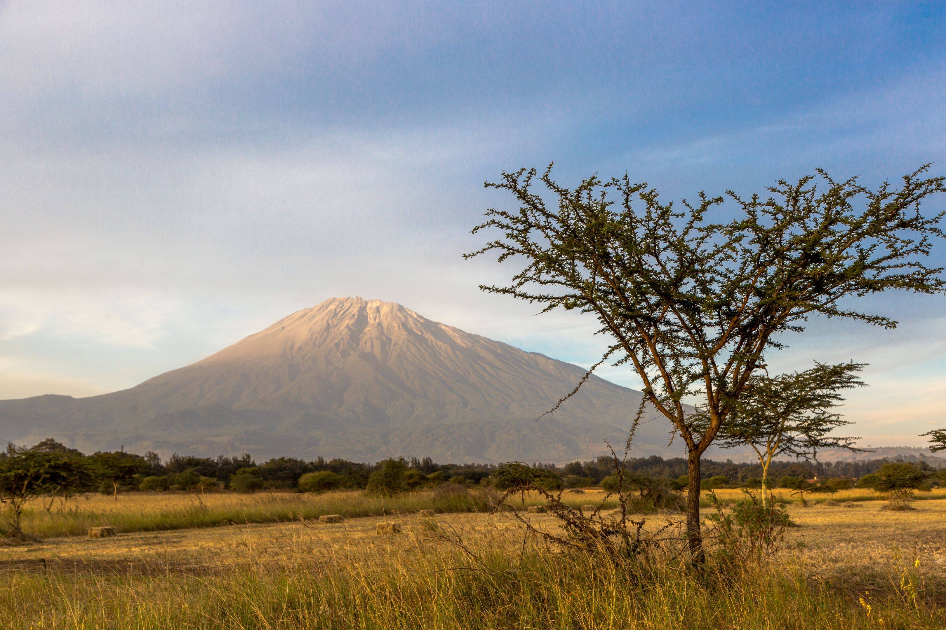 Llegada a Kilimanjaro / Arusha