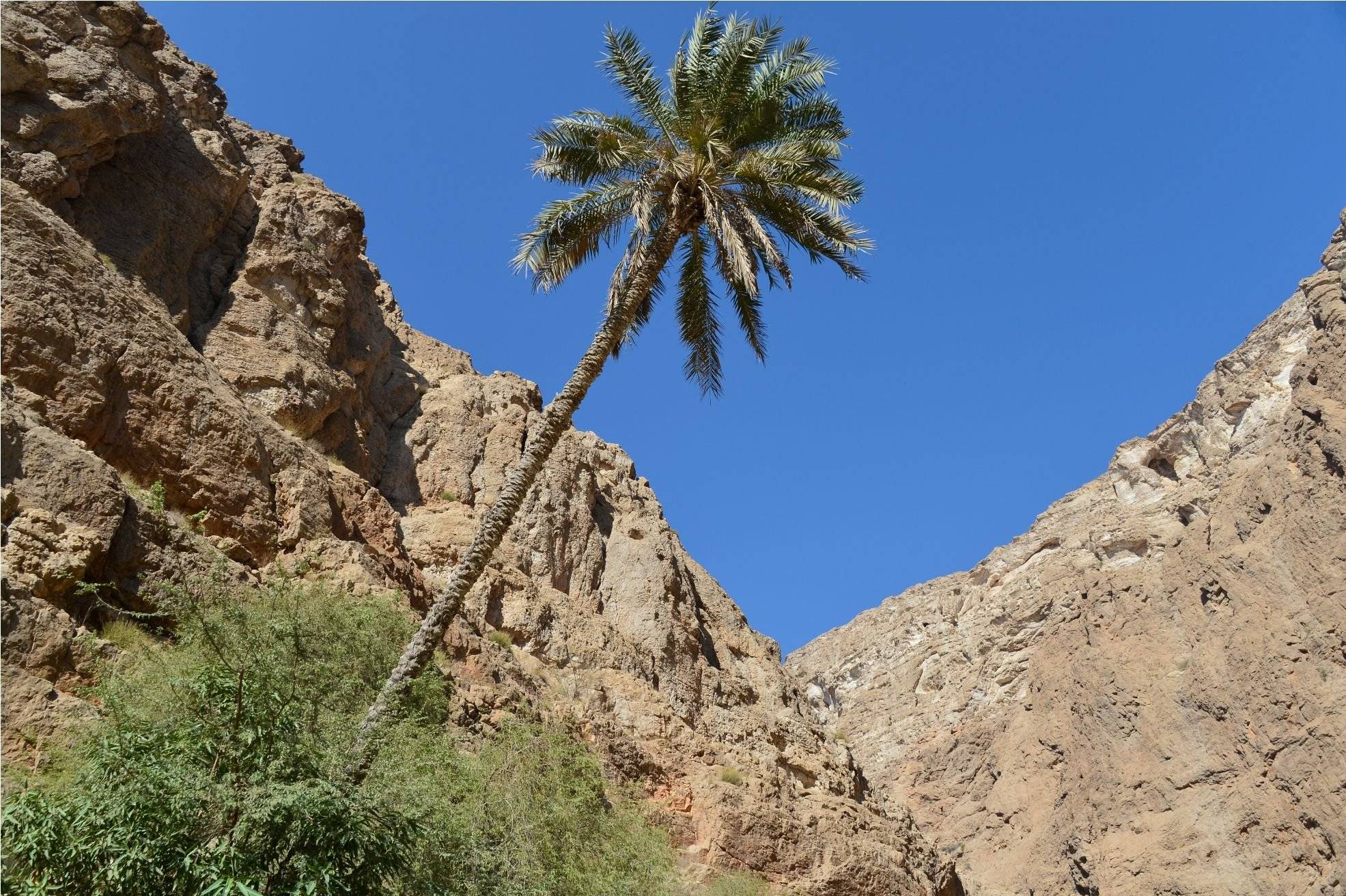 Alla scoperta dei wadi più spettacolari