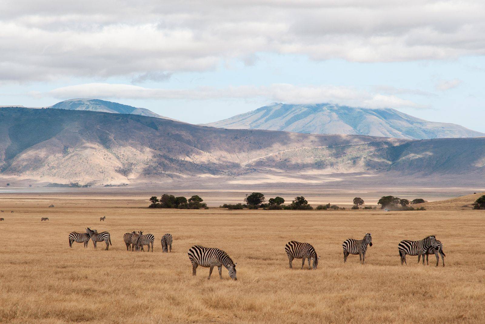 Al cratere Ngorongoro alla ricerca dei "big five"