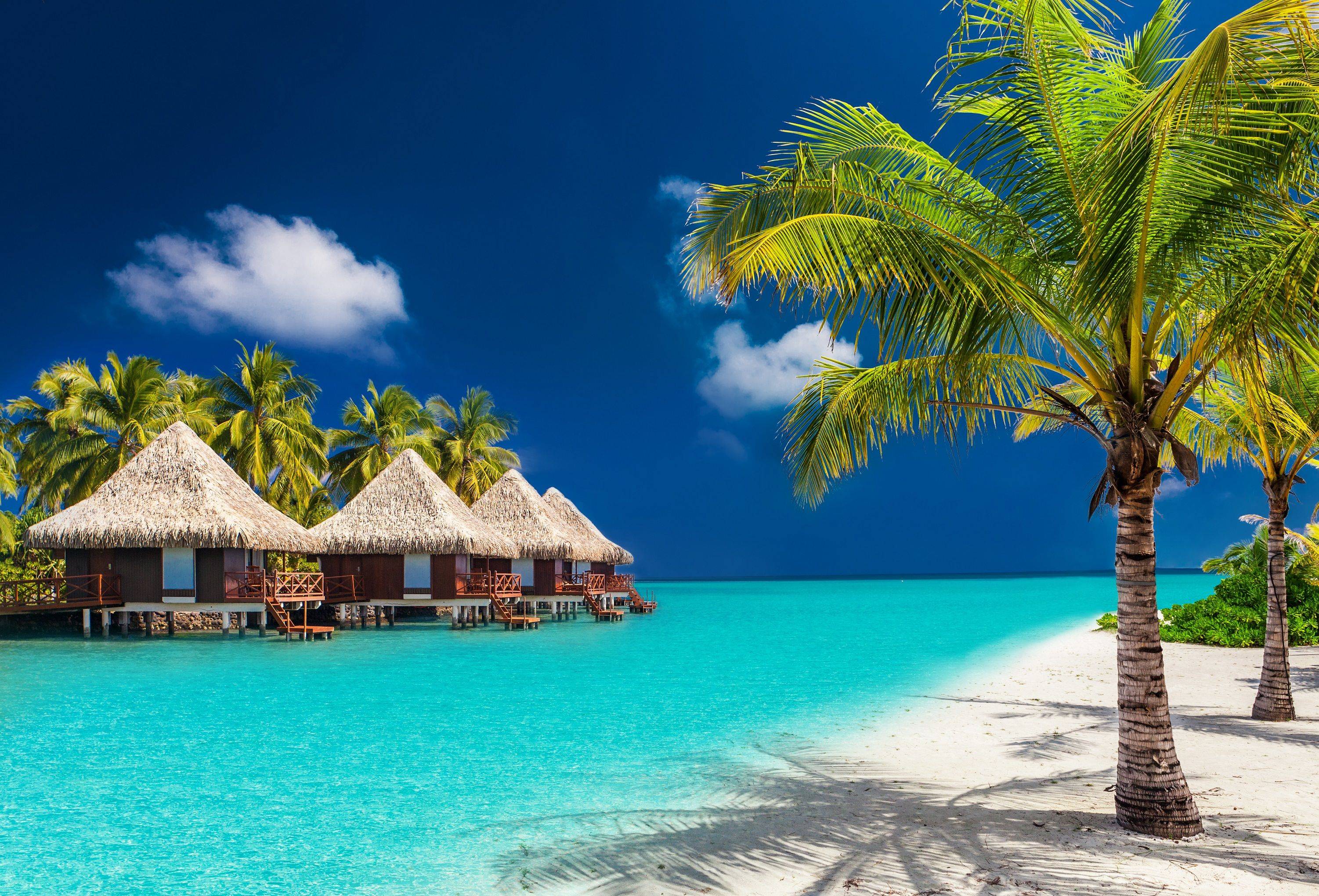 Paraíso de Maldivas  