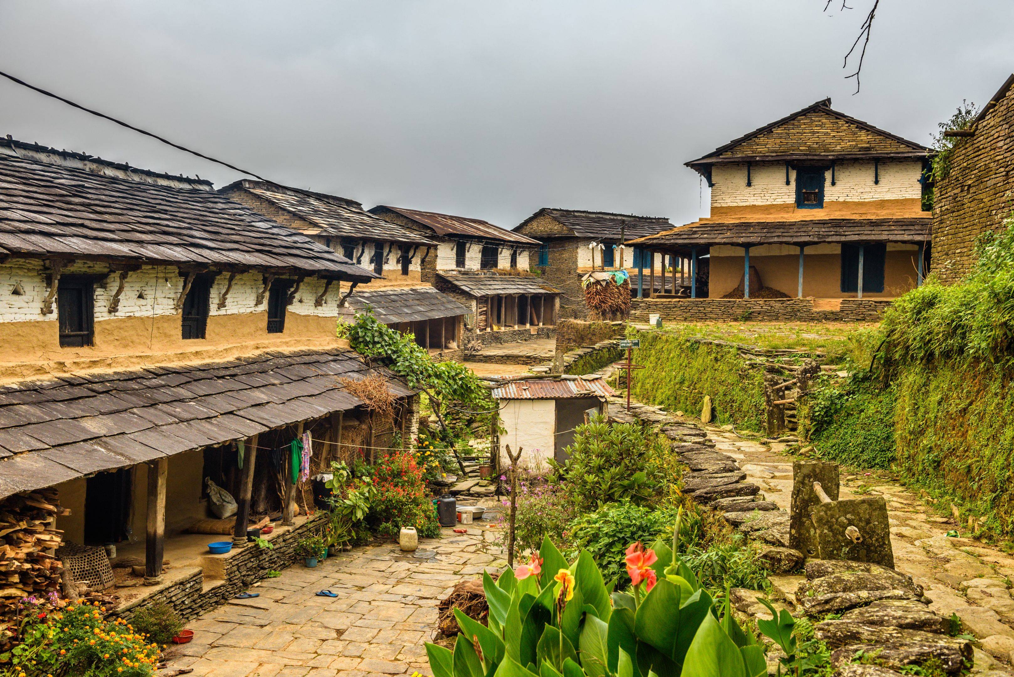 Pokhara-Phedi und Wanderung nach Dhampus – 4 Stunden Wanderung