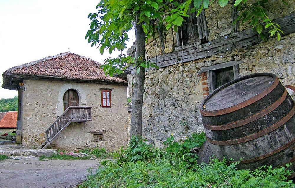 Negotin & Rajac, sur la route des vins serbes