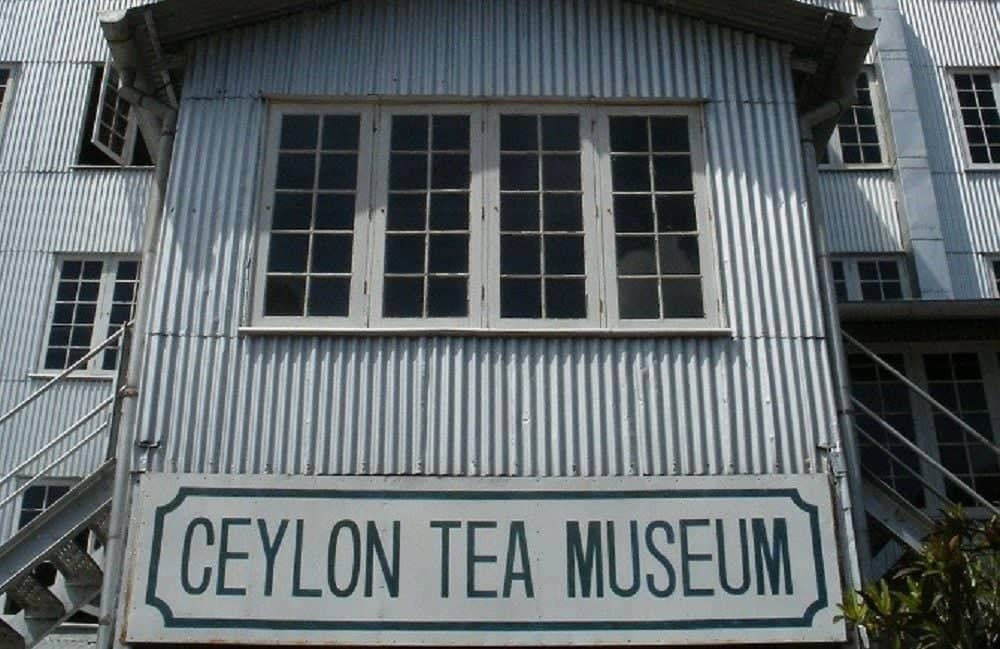 Musée du thé et jardin sauvage