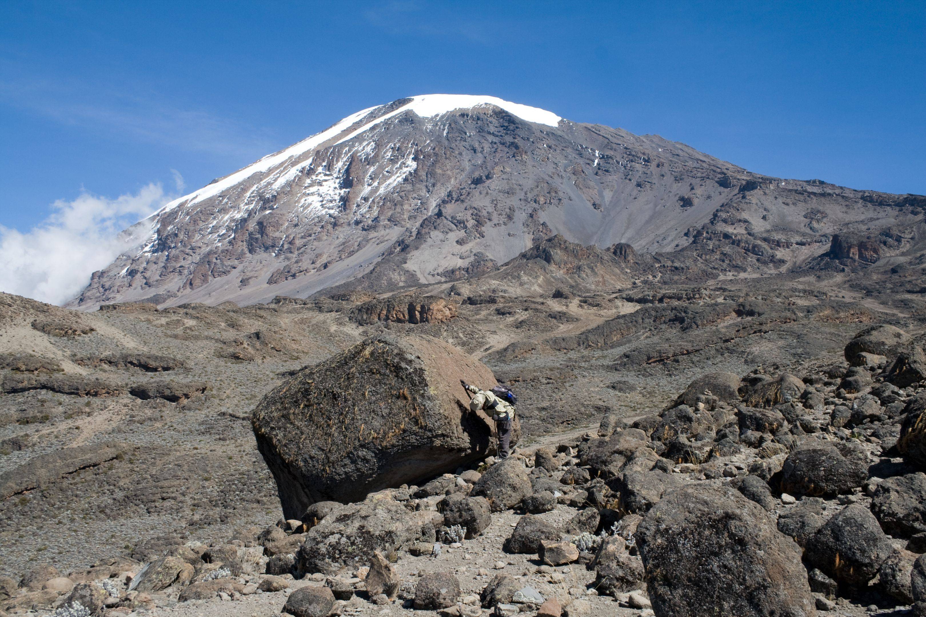 Trekking sur les flancs du Kilimandjaro