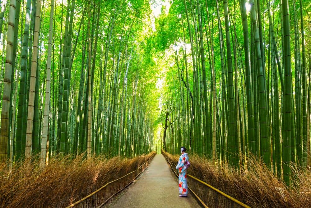 Arashiyama – einstiges Ausflugsziel des Adels 