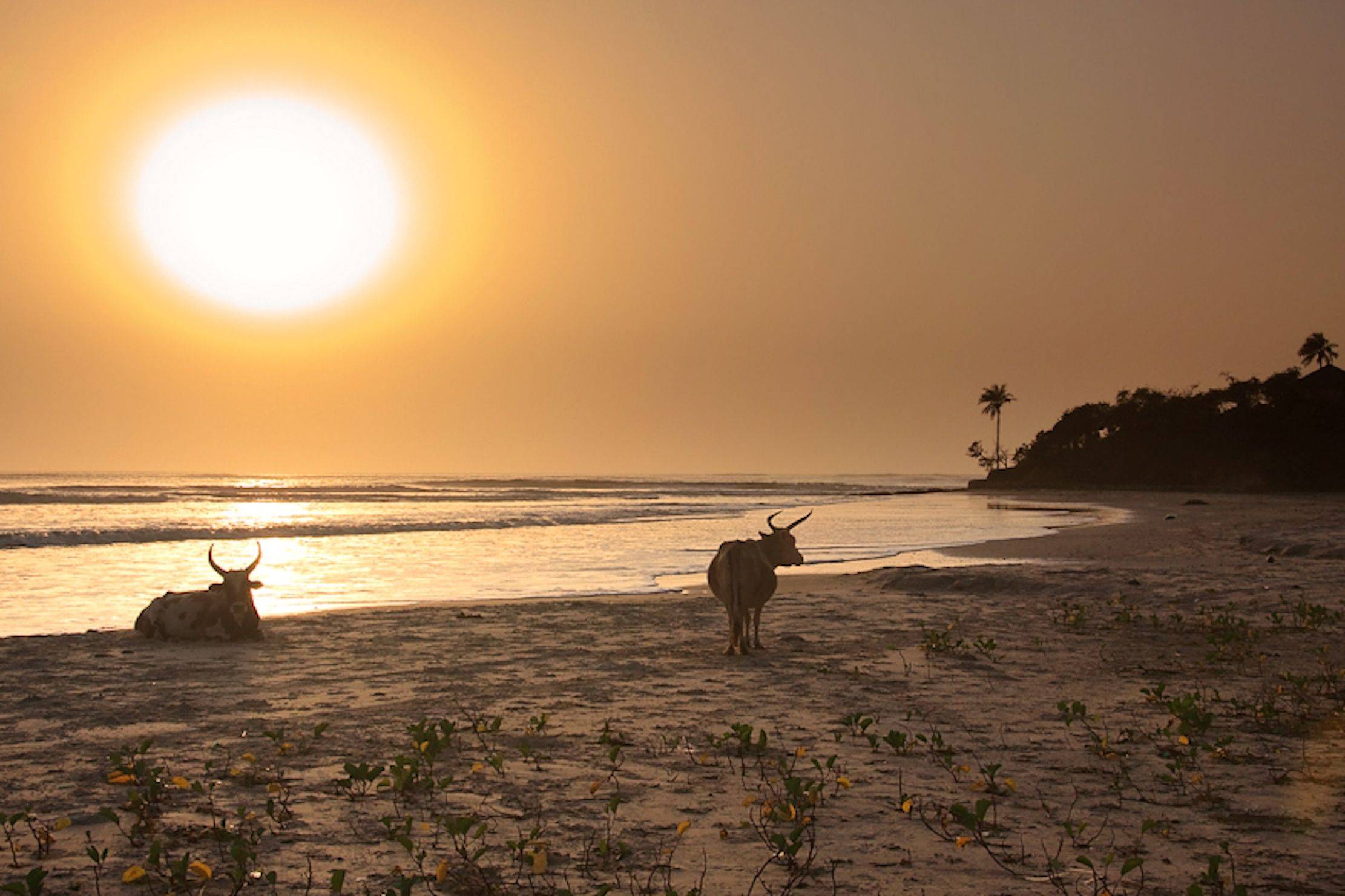 La Bassa Casamance e le sue tradizioni