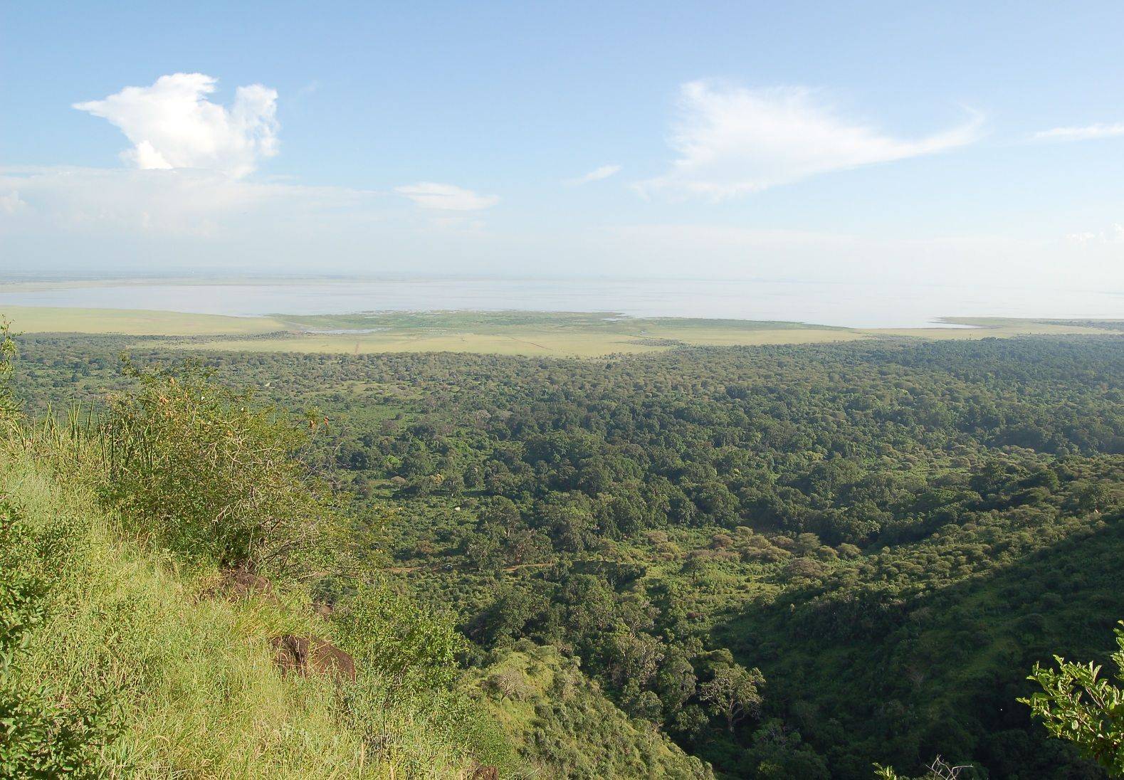 Vom Tarangire zum Serengeti Nationalpark