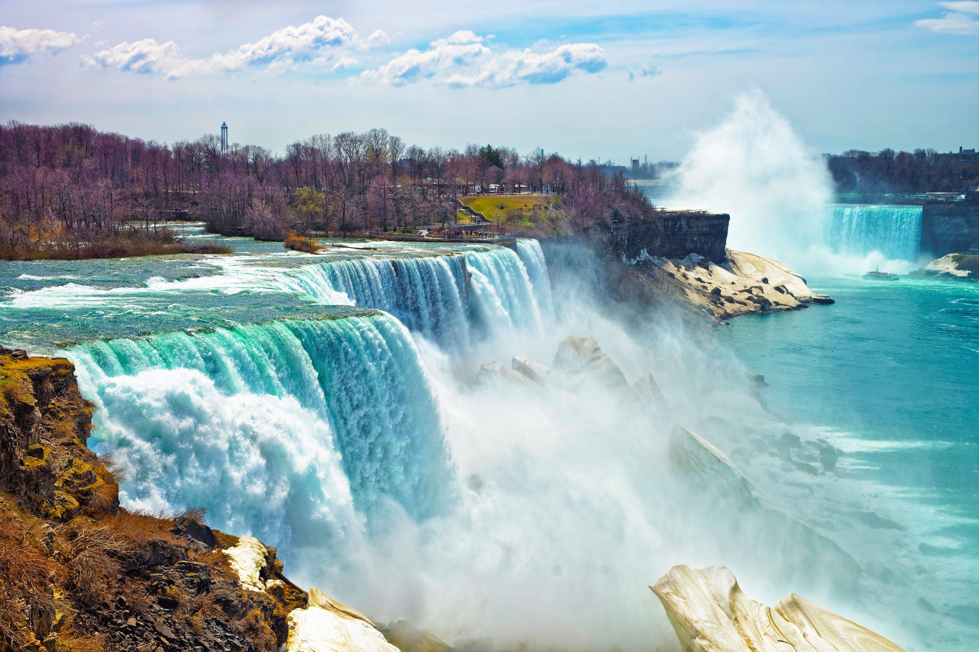 Excursión hacia las Cataratas del Niagara