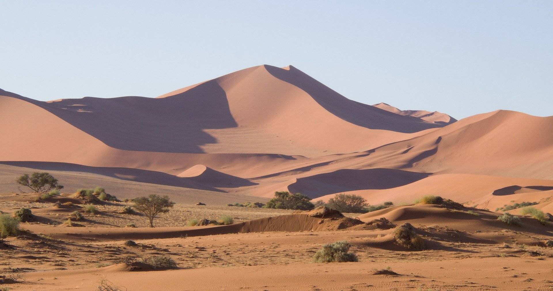 Dunas del Namib