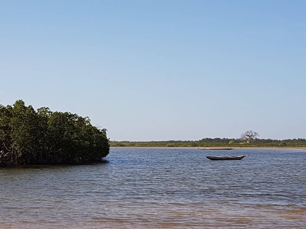 ​Bootstour zu den Inseln des Saloum-Deltas