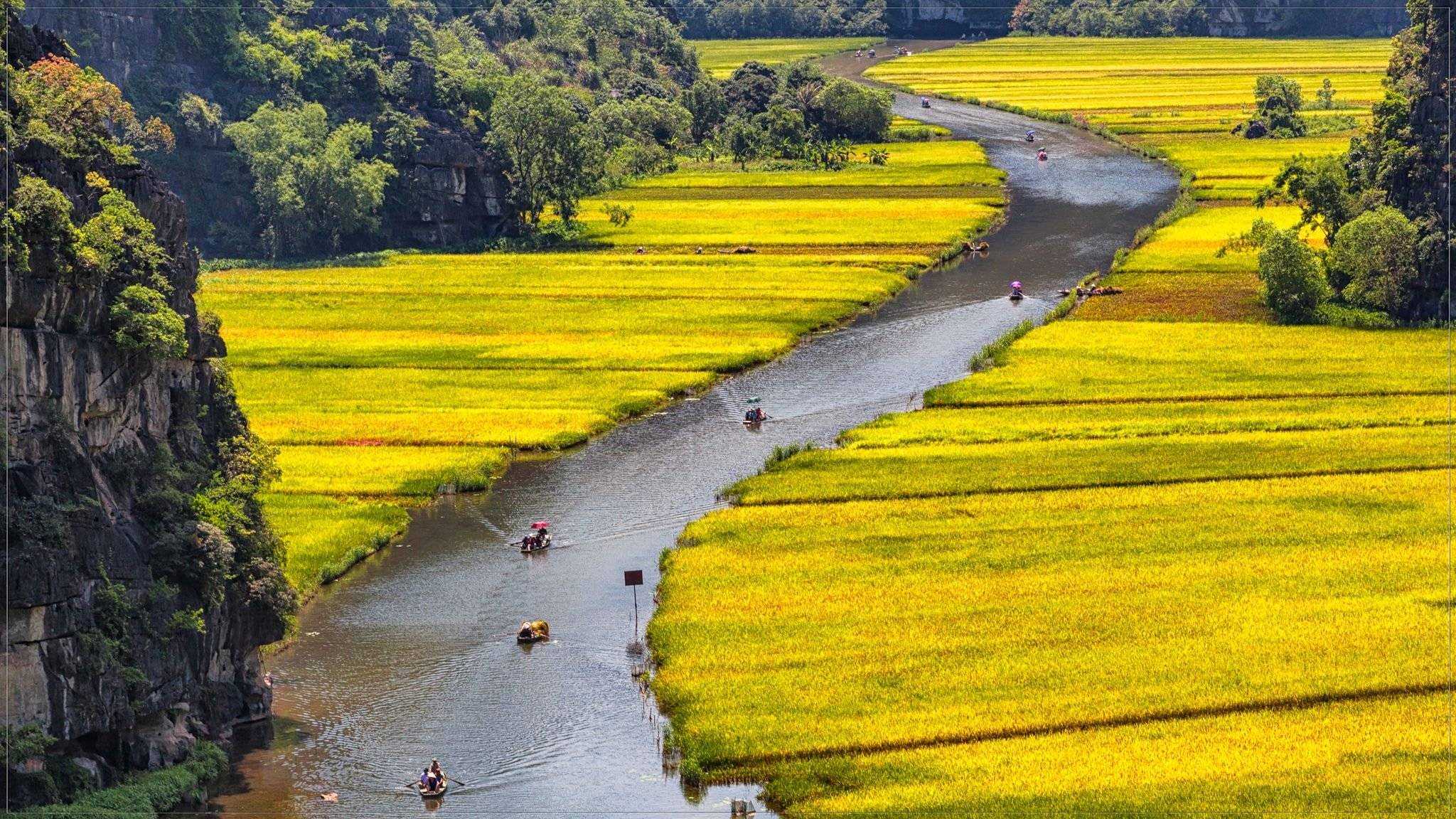 Bahía de Halong seca y arrozales 