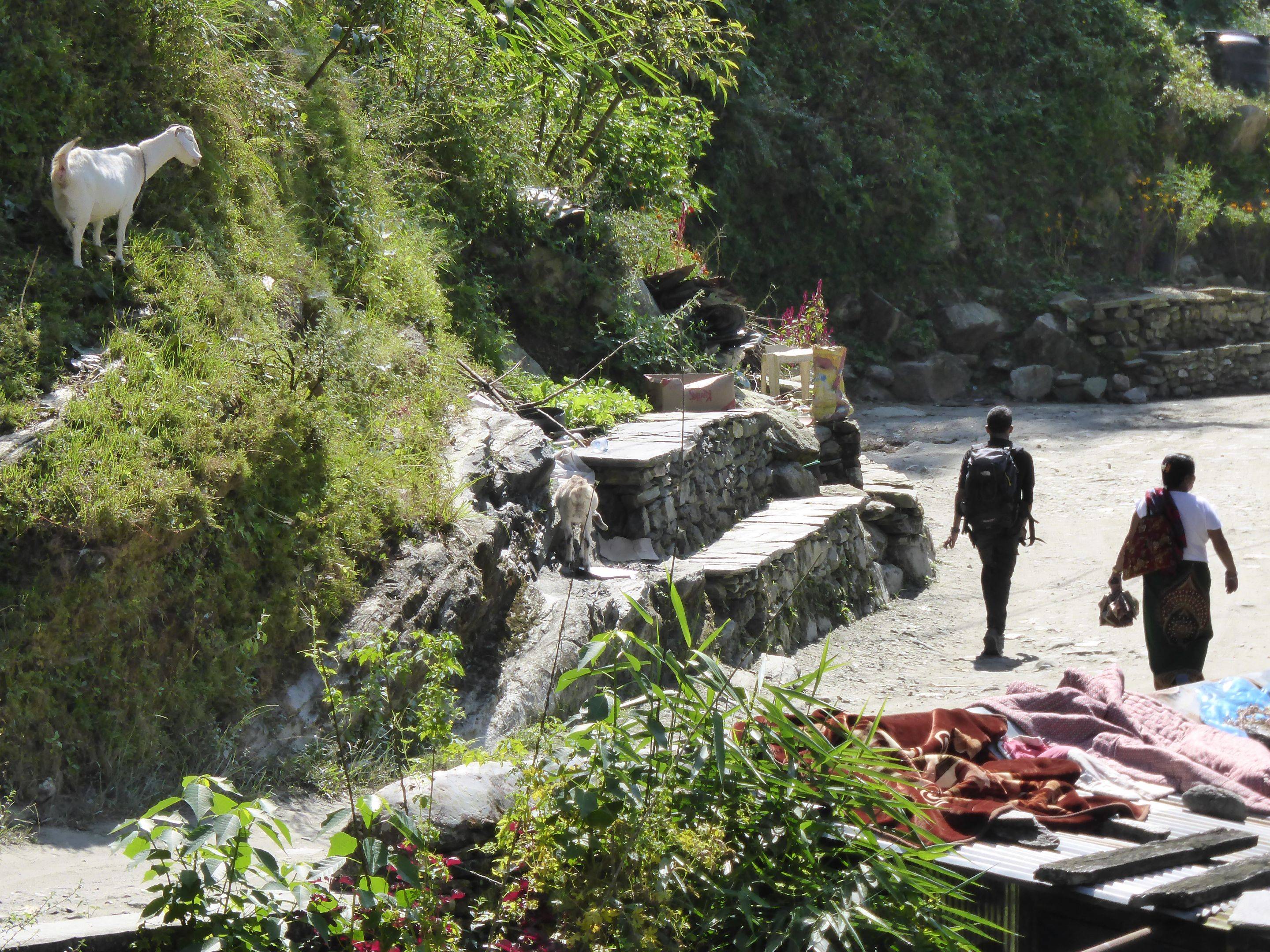 Pokhara - Hiley – 1 and ½ Stunden Fahrt umd 4 Stunden Wanderung