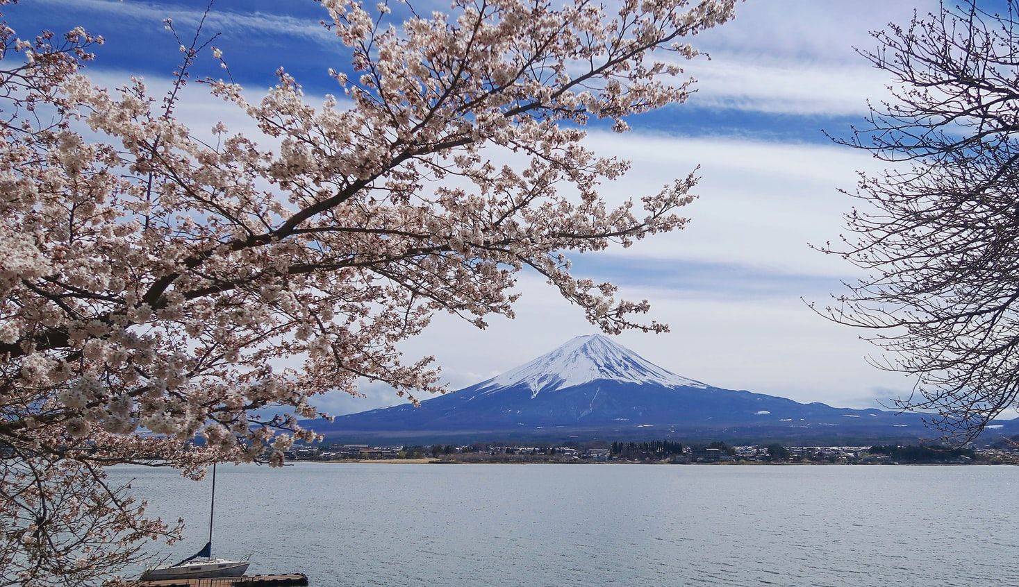 Kijk uit op Mount Fuji