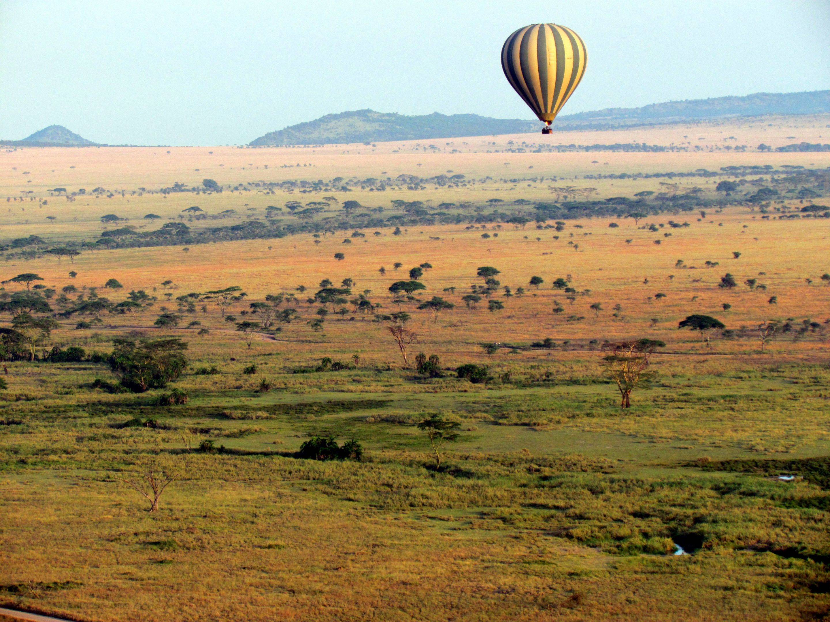 Von der historichen Oldupai Schlucht zum Serengeti Nationalpark 