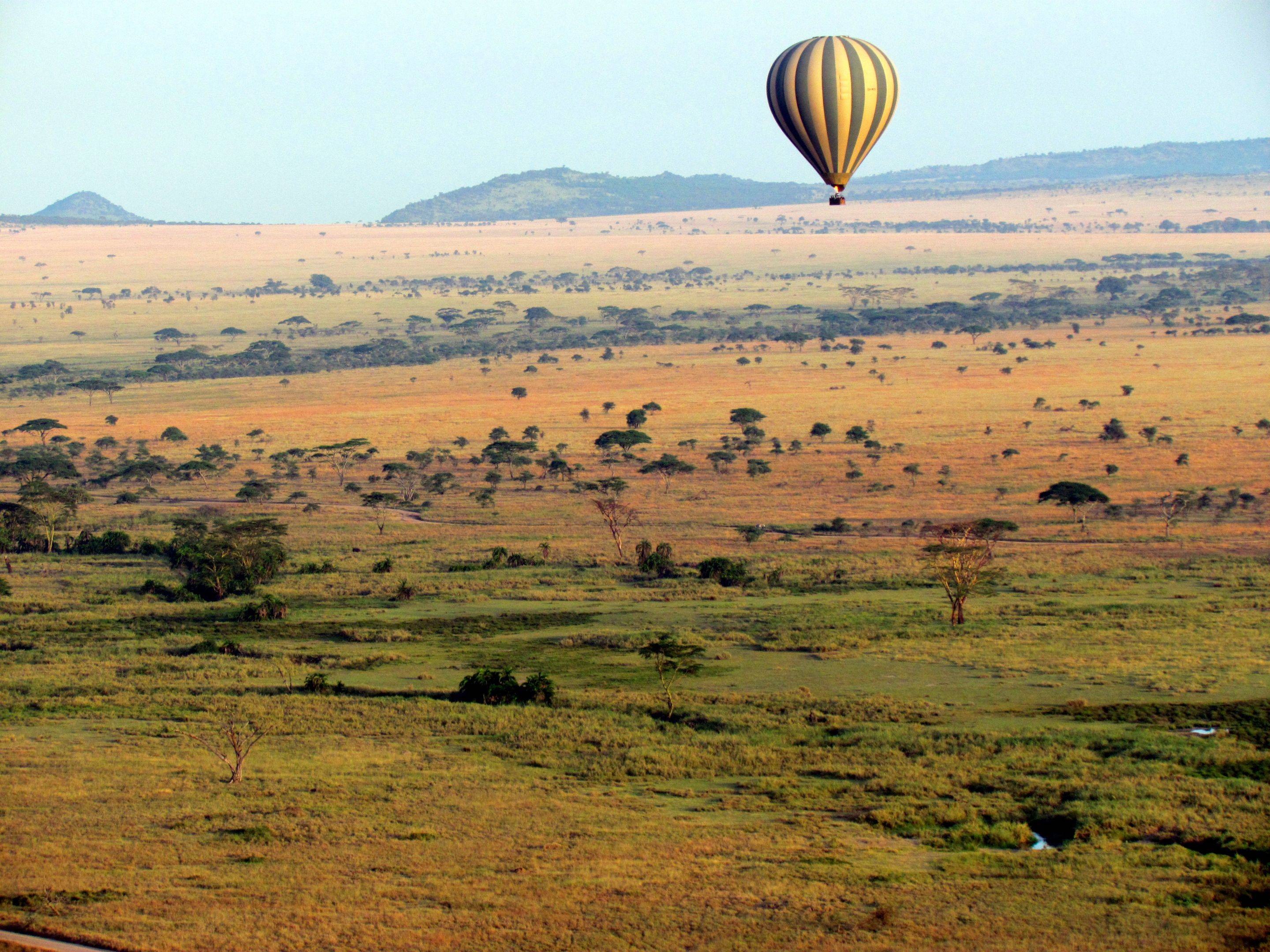 „Big Five“ im Serengeti-Nationalpark 