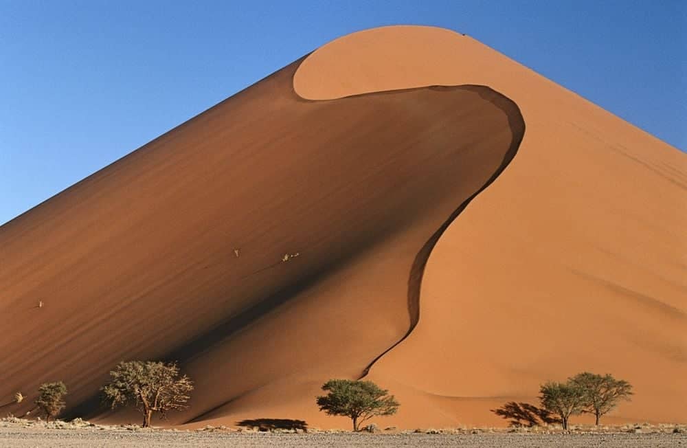 Hacia las dunas más antiguas del mundo
