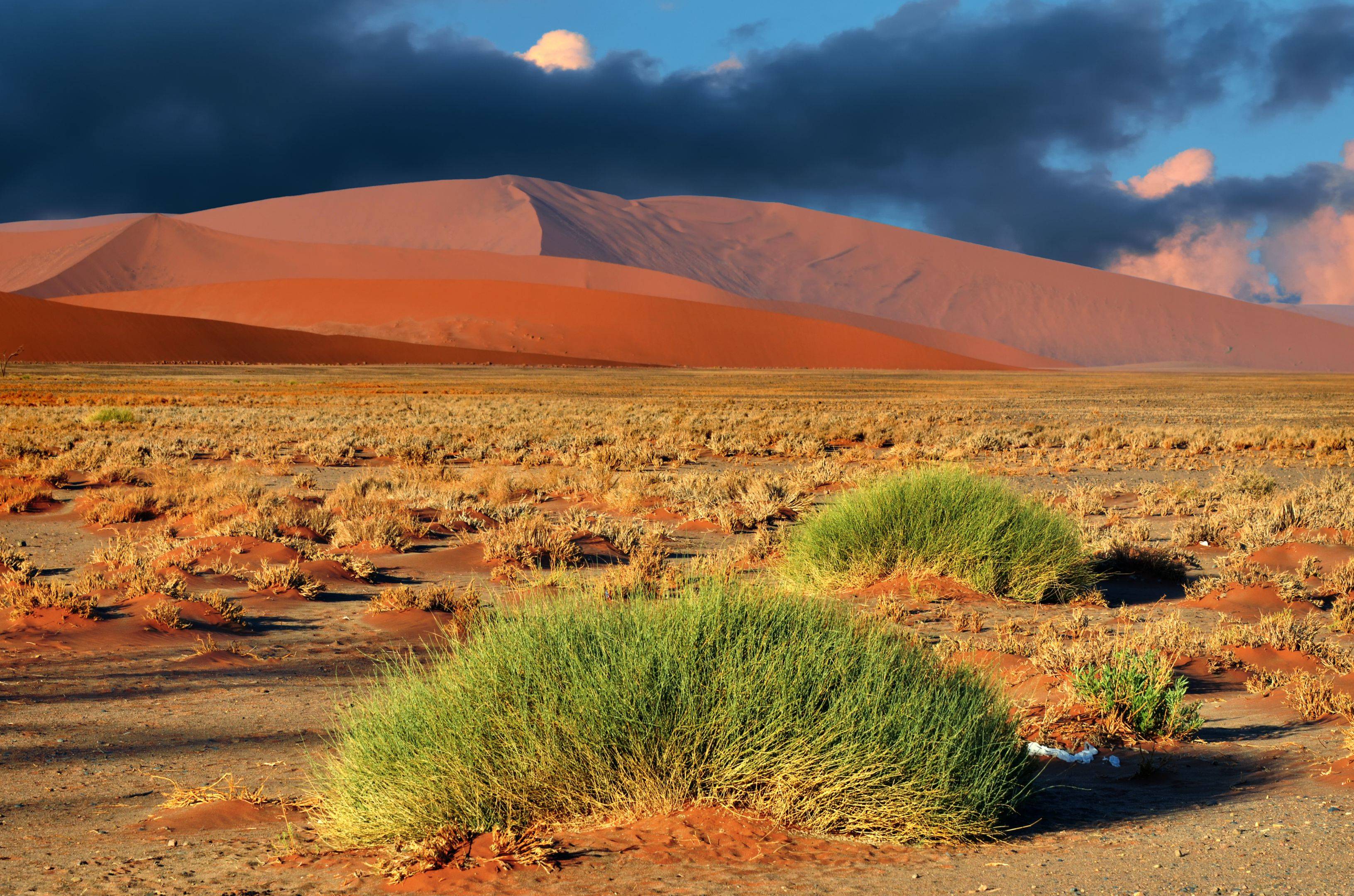 Sossusvlei – Das Namib-Sandmeer als UNESCO-Welterbe 