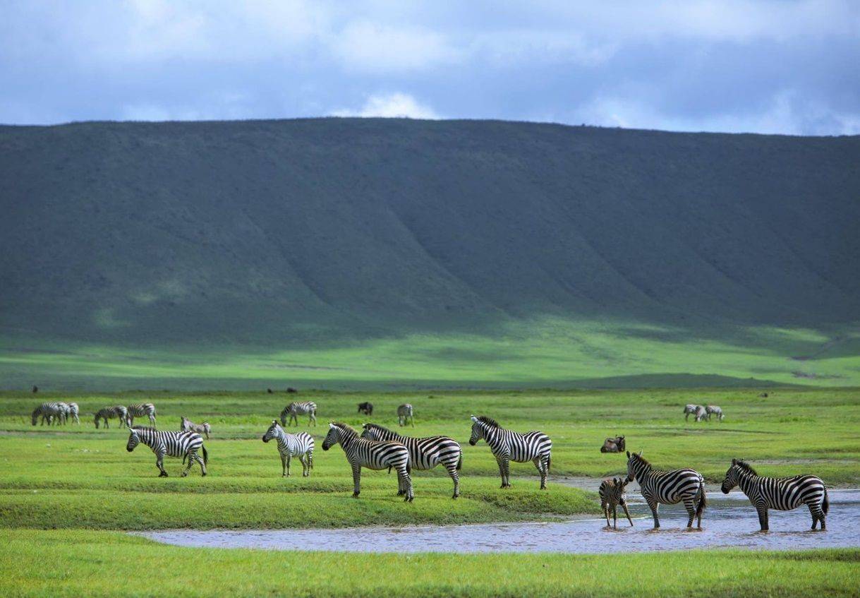 Safari im Ngorongoro Krater 