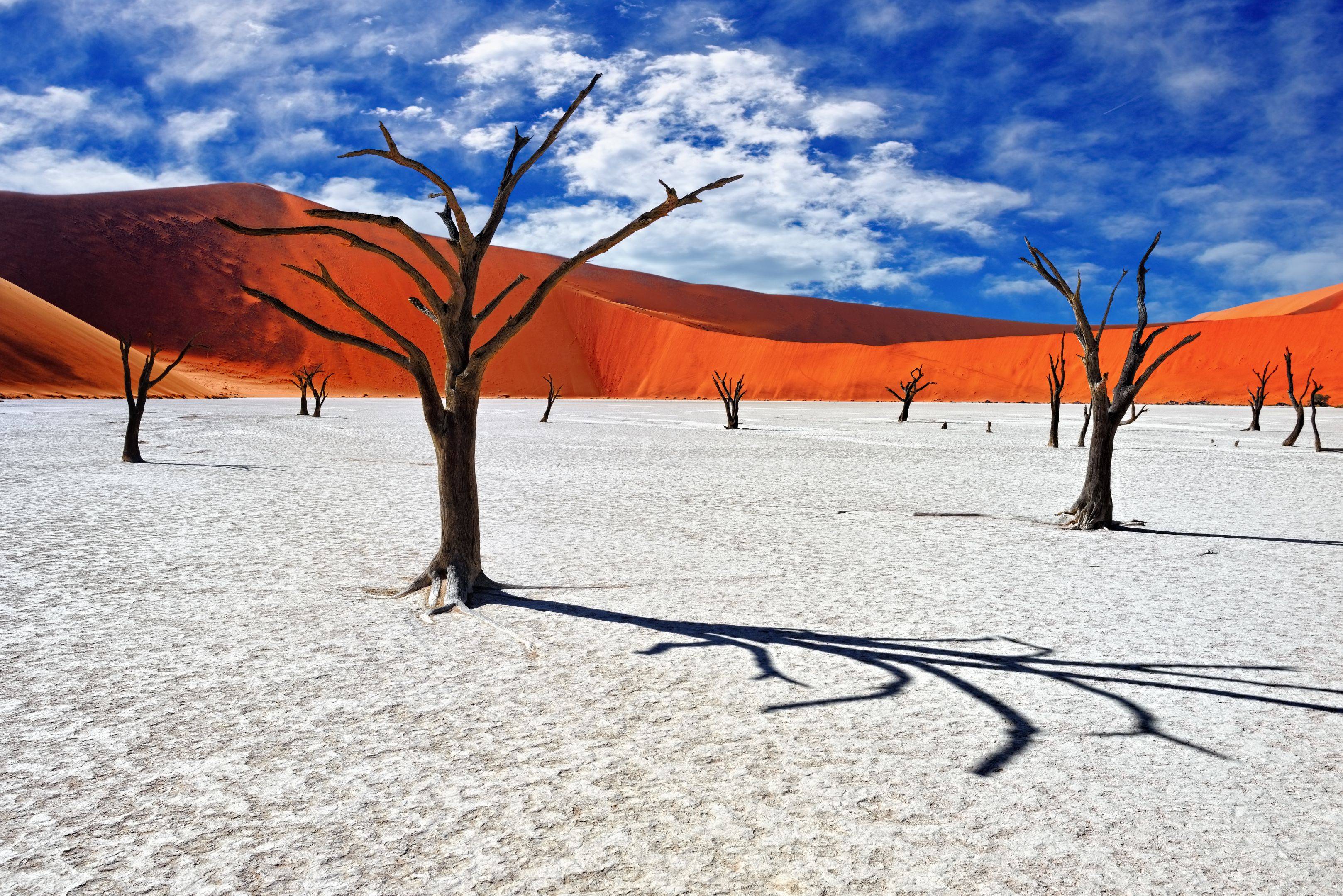 Découverte du désert du Namib, à travers Sossuvlei et Deadvlei