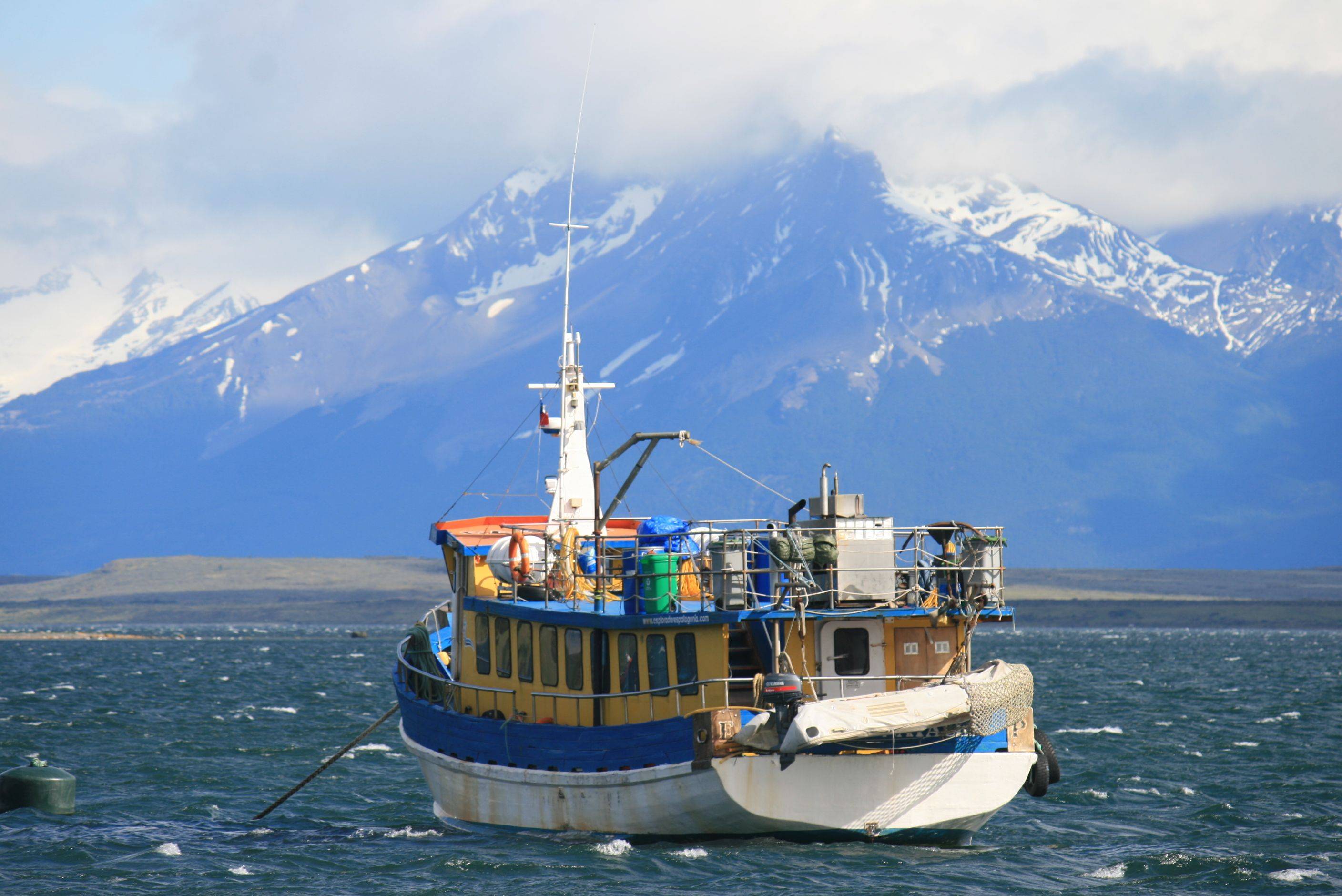 Navigation à la découverte de la faune maritime