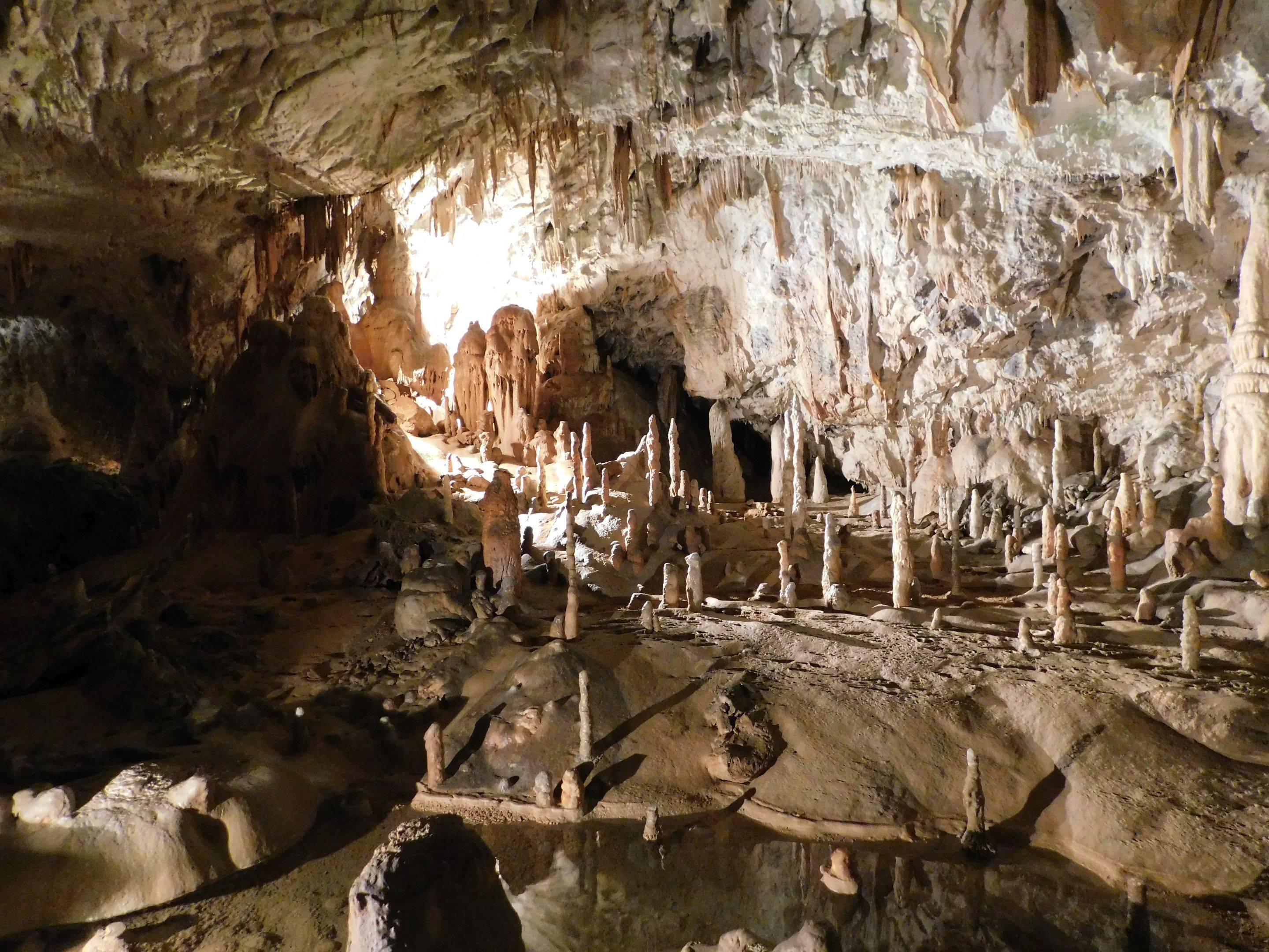 Le incredibili grotte di Postumia e il castello di Predjama