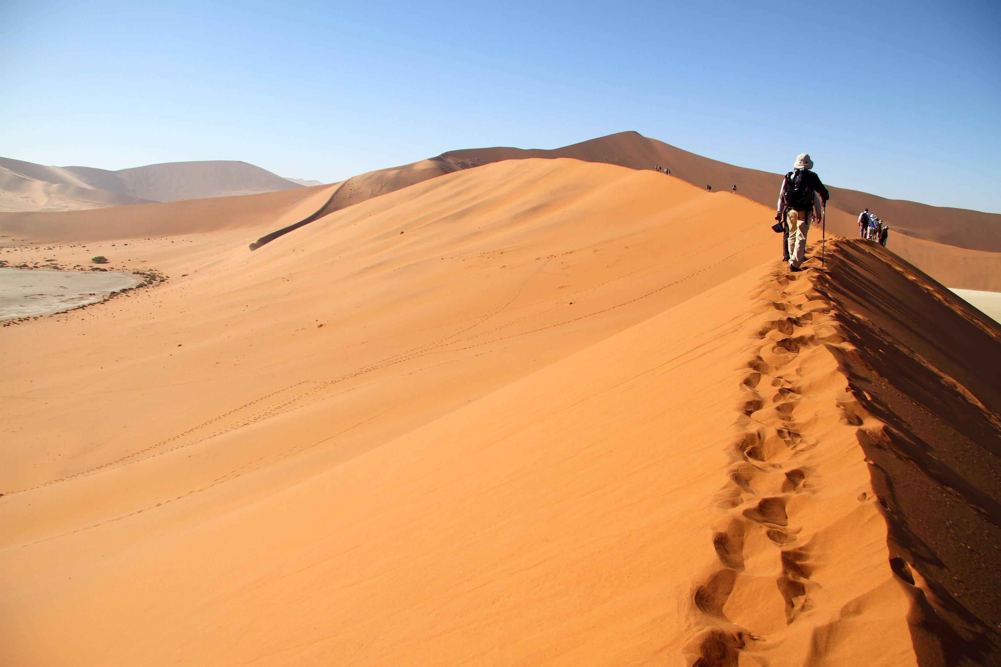 Verken de Namib woestijn