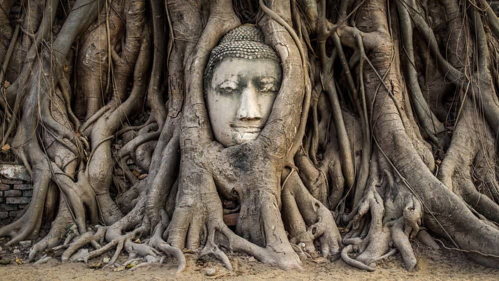 De tempels van Ayutthaya
