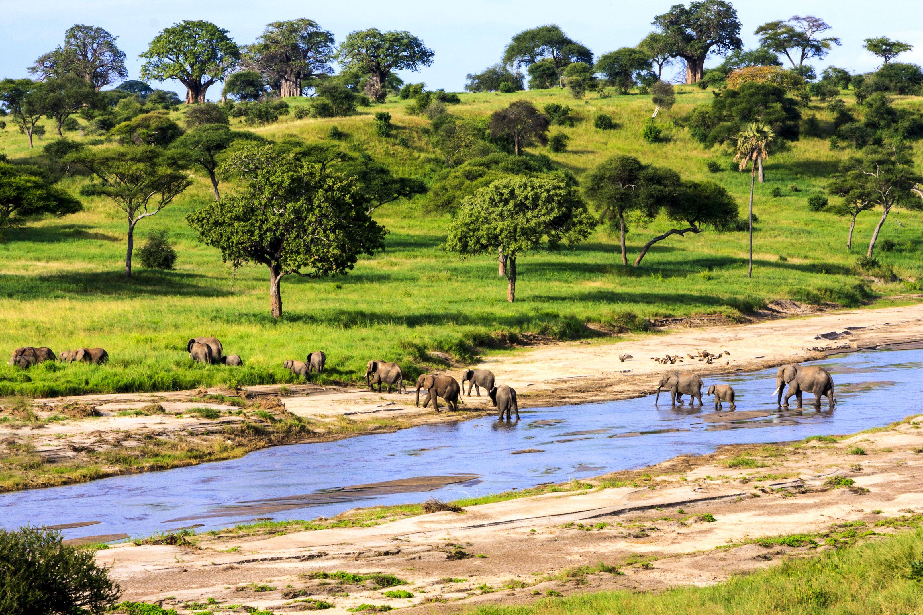 Rumbo al Serengeti