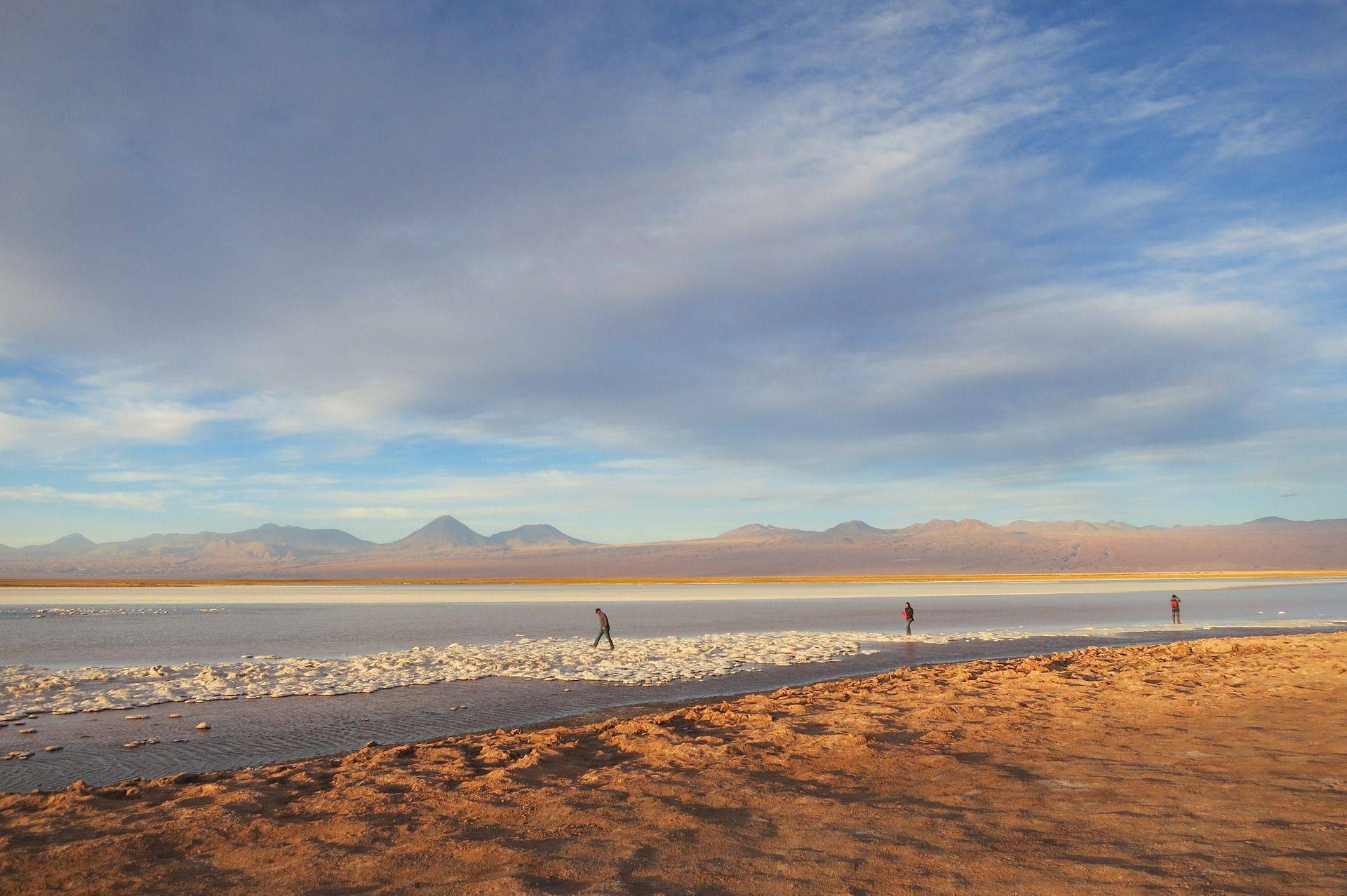 Le désert d'Atacama: Salar et lagunes.