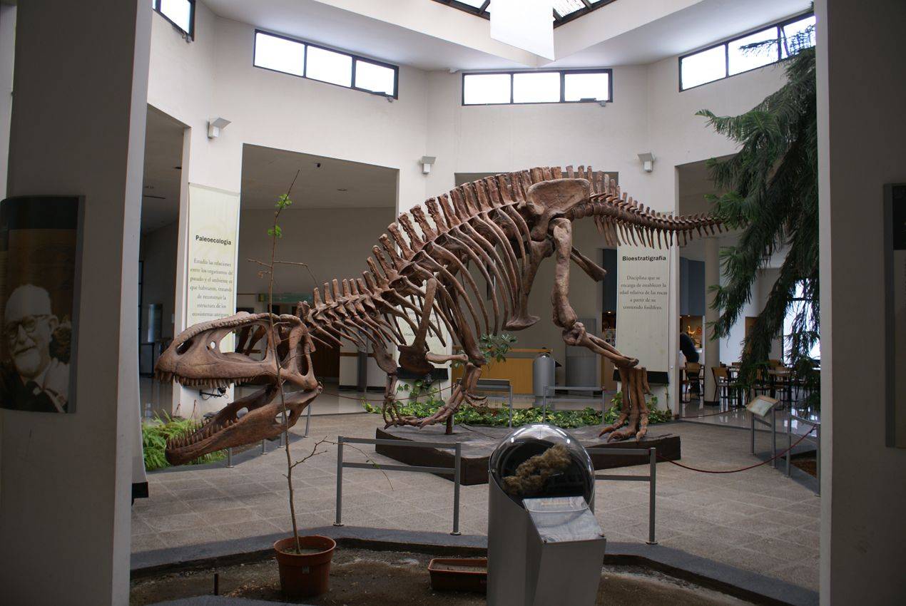 In viaggio verso Puerto Madryn e visita al dinosauro più grande del mondo