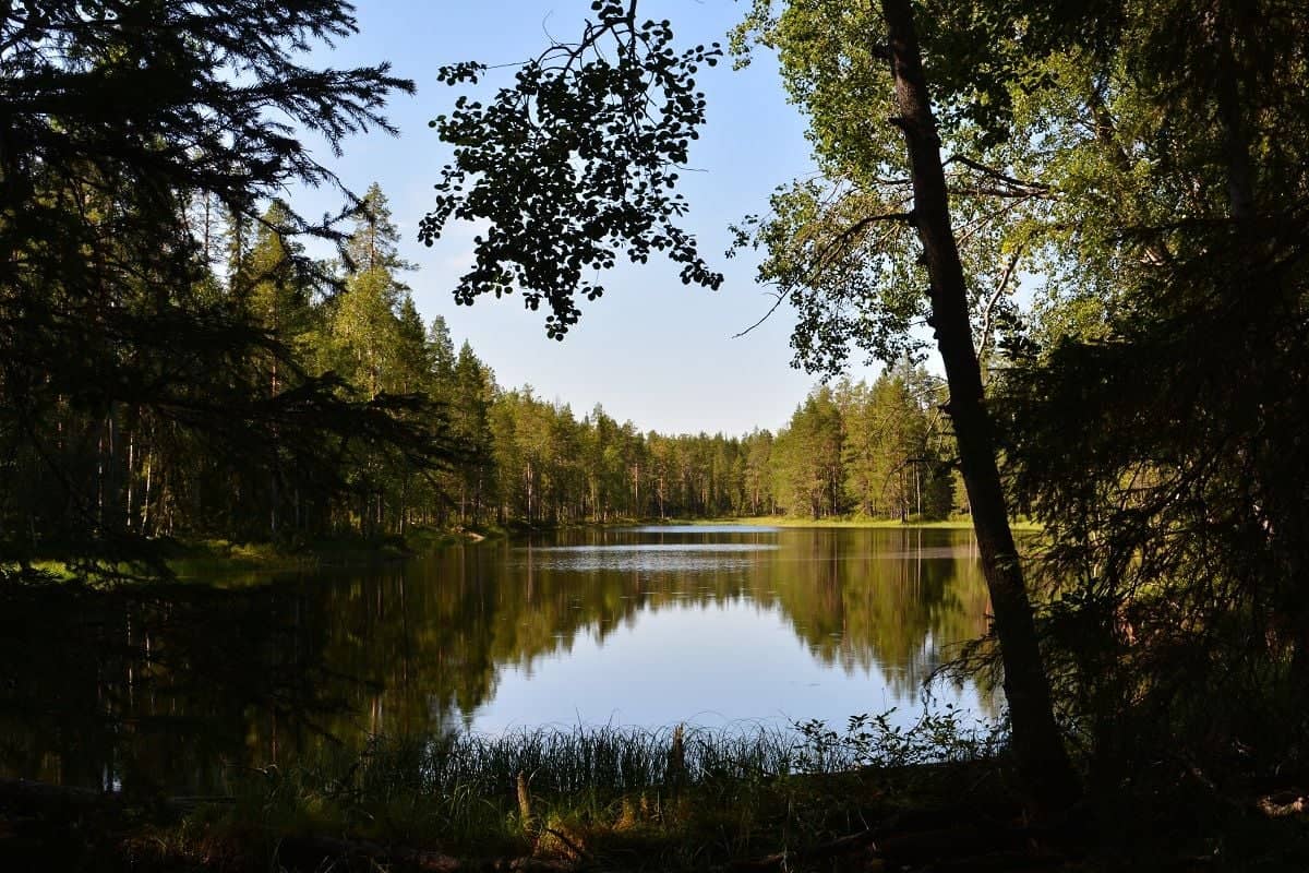 Premiers échanges avec les paysages finlandais