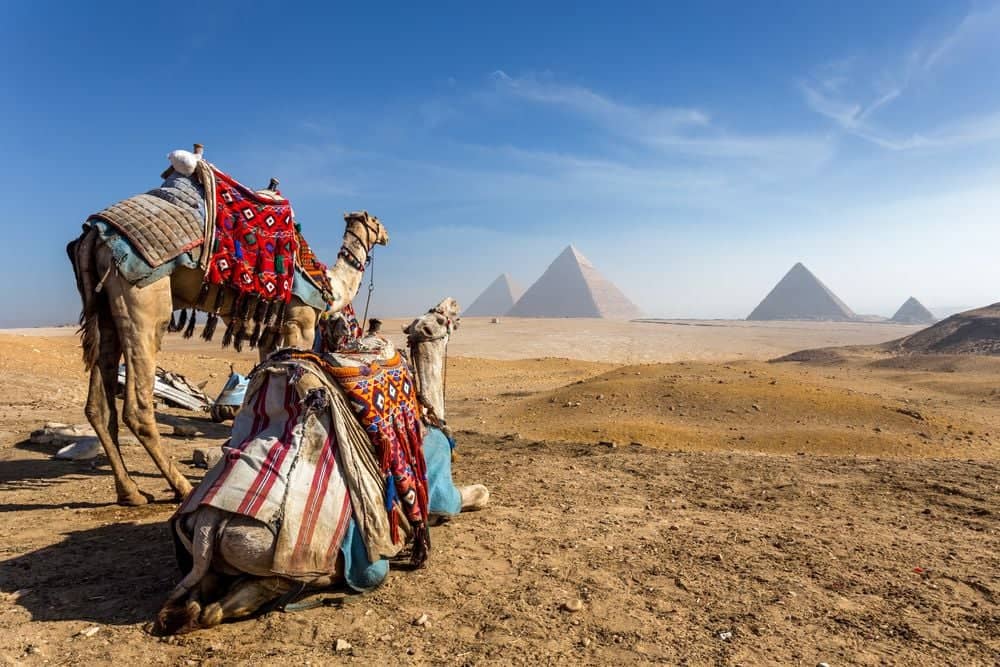 Pirámides de Guiza y Museo Egipcio