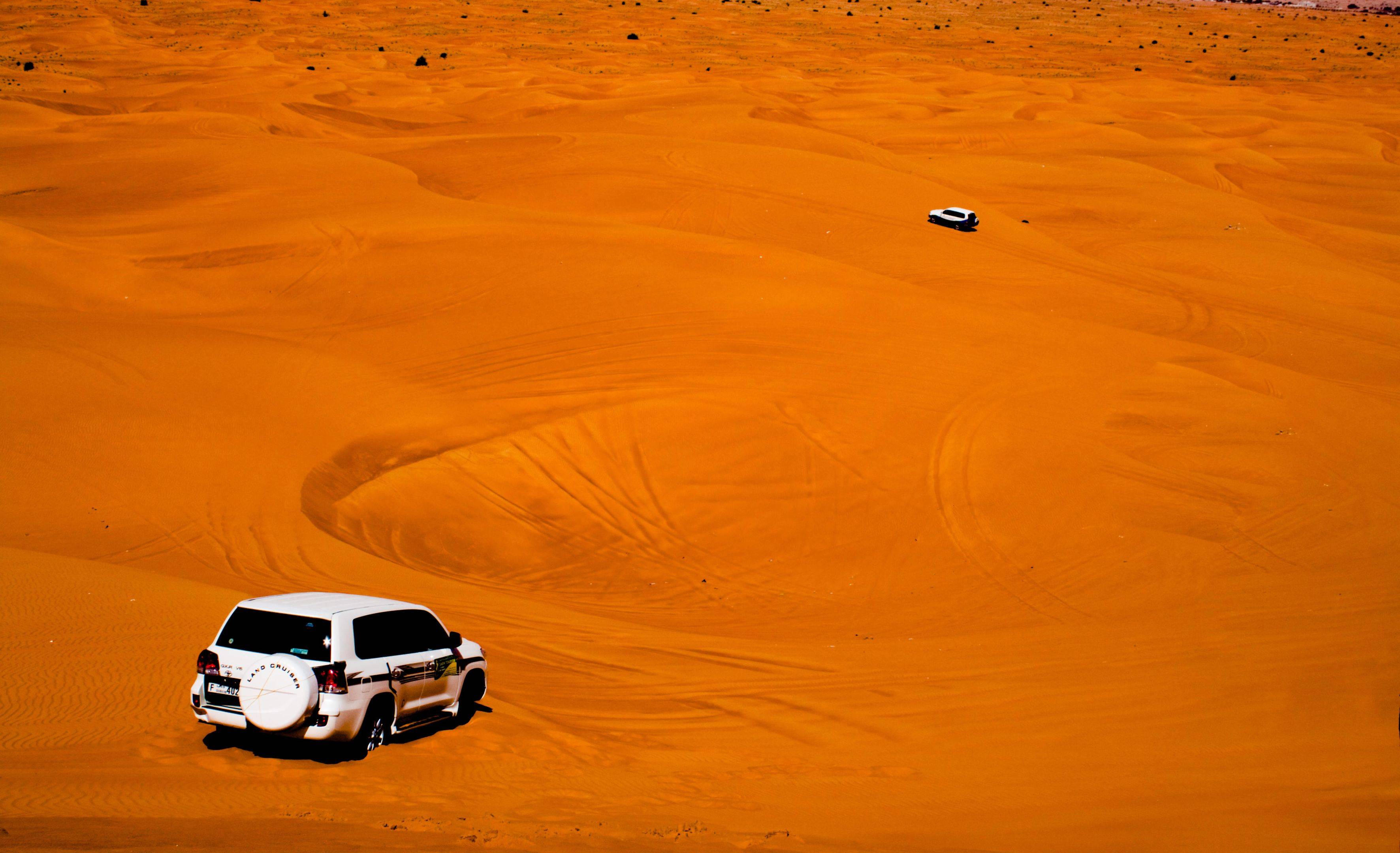 Giro della città di Dubai e safari nel deserto