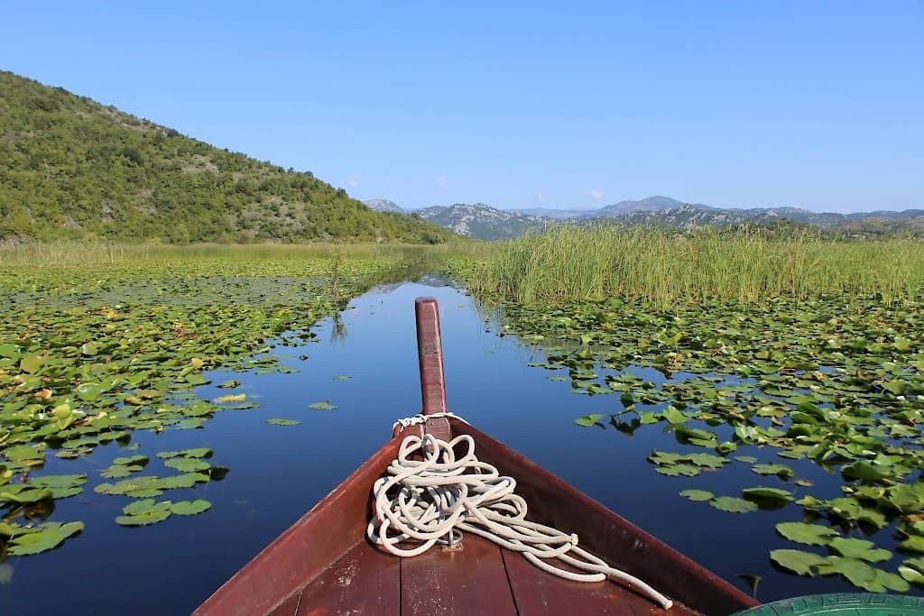 Explorer le lac de Skadar en bateau