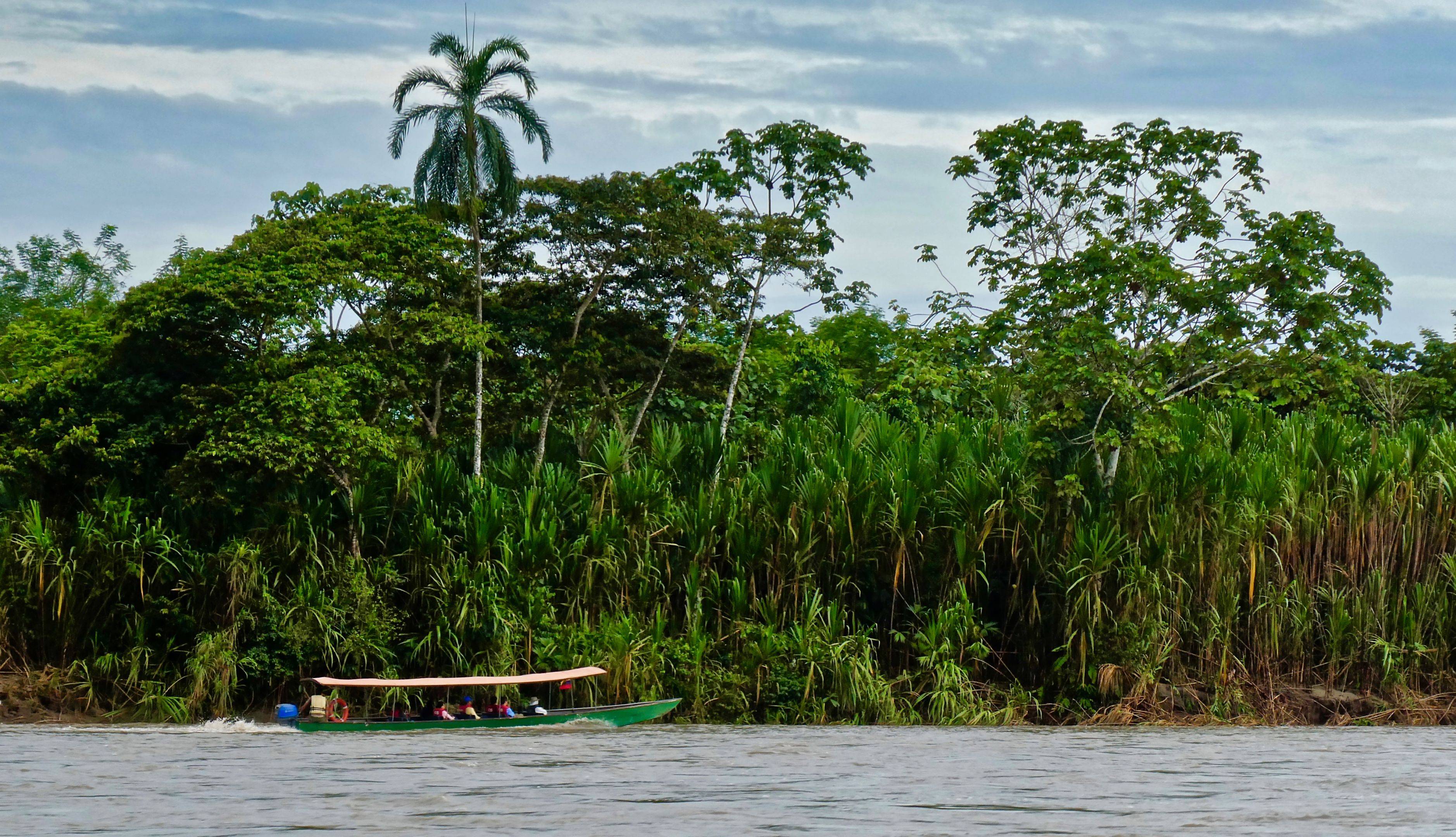 Escapada amazónica