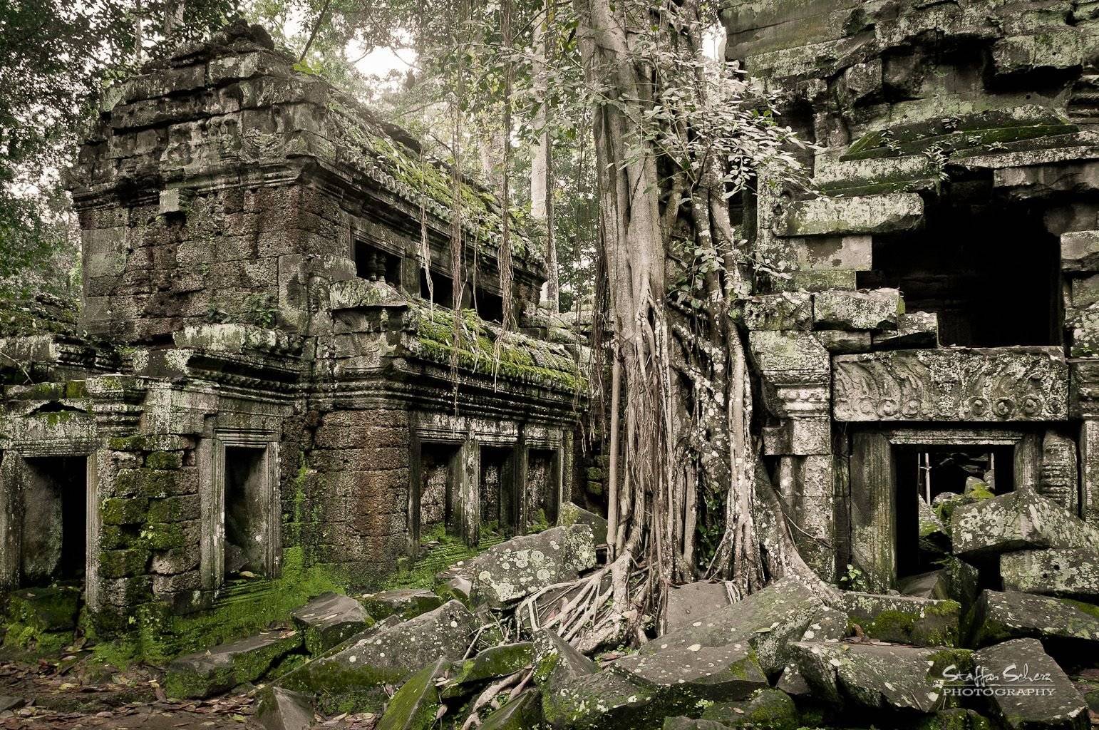 Tra Angkor Thom & Angkor Wat 