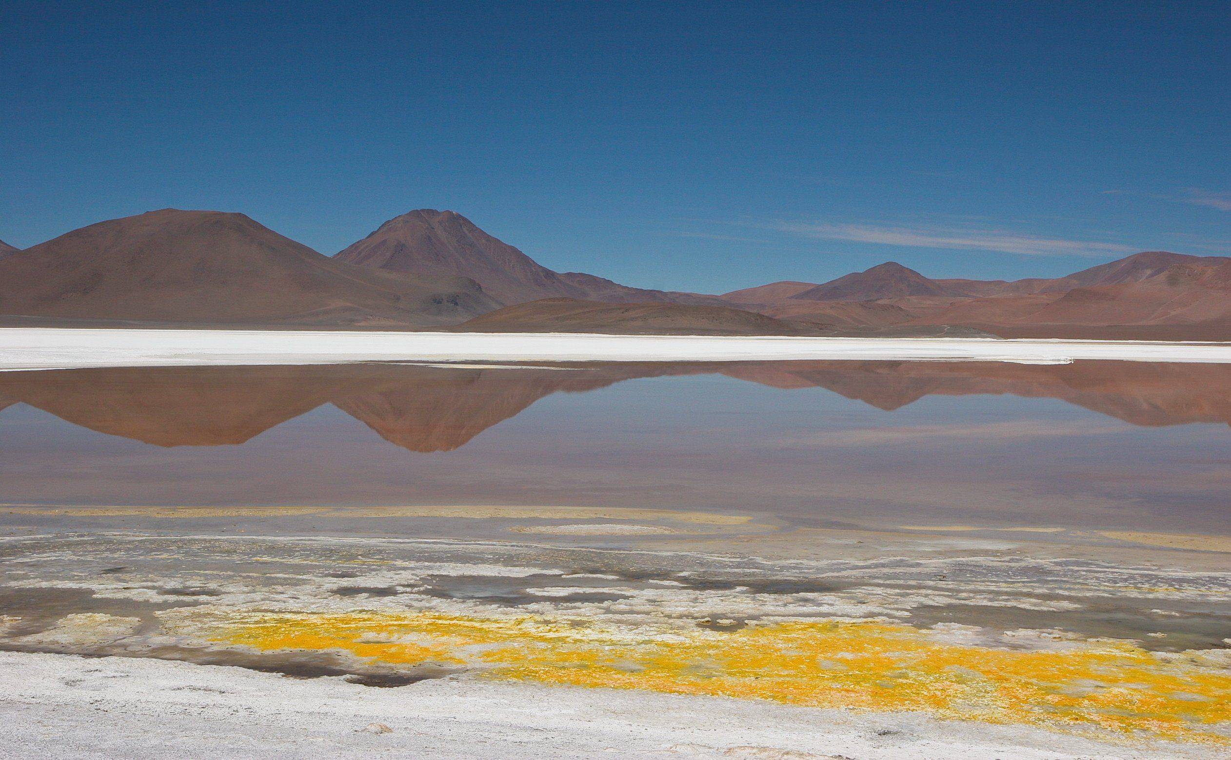Desierto de Atacama y lagunas altiplánicas.