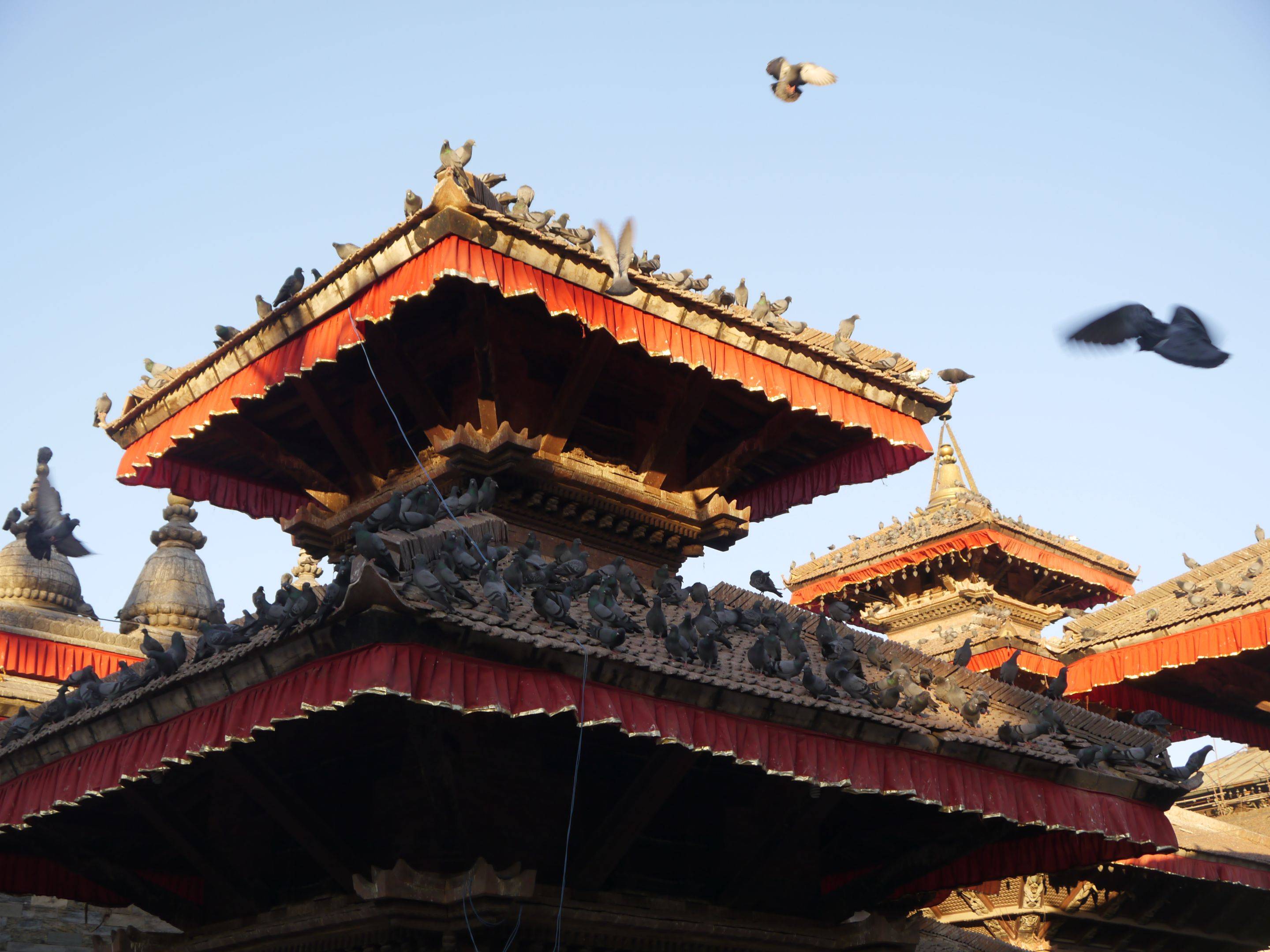 Lassen Sie sich begeistern - die UNESCO-Weltkulturerbestätten von Kathmandu