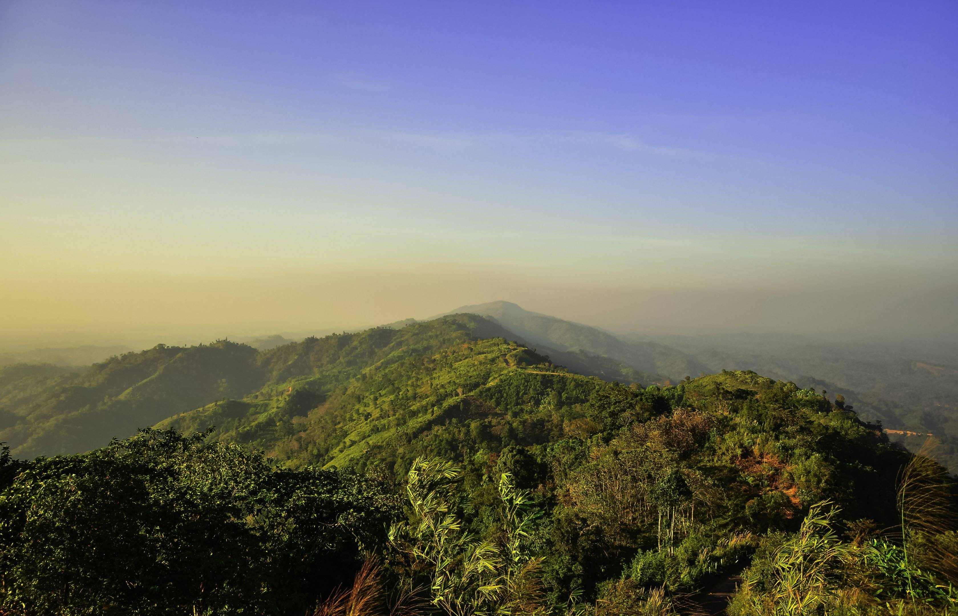 Foresta tropicale del Nilgiri Hills