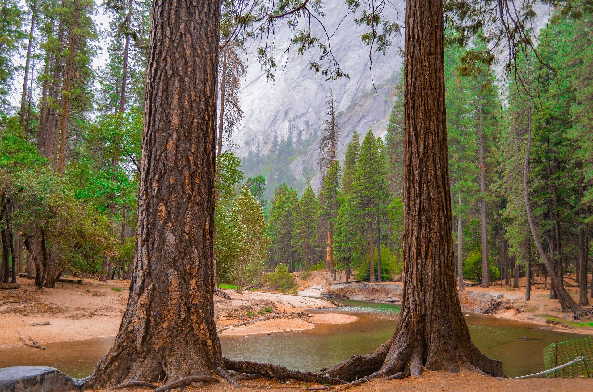 Le gigantisme de Yosemite
