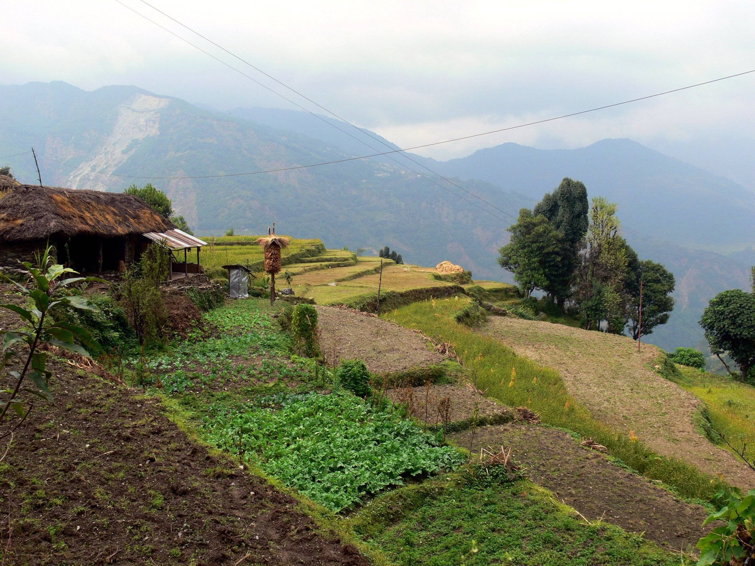 Dhampus-Australian Camp-Kande: 4 Stunden Wanderung, Rückfahrt nach Pokhara
