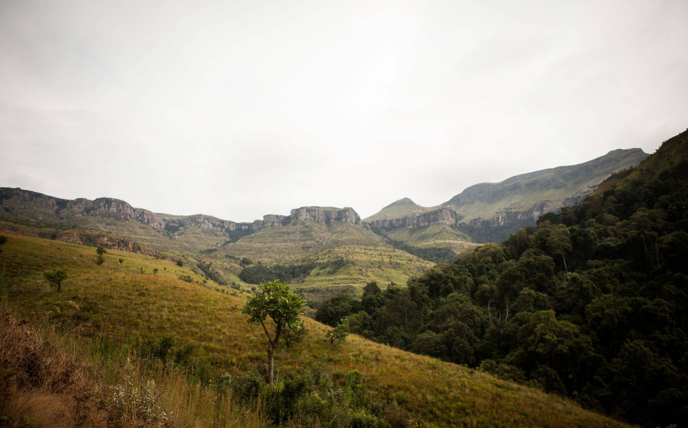 Weiterfahrt in die Drakensberge 
