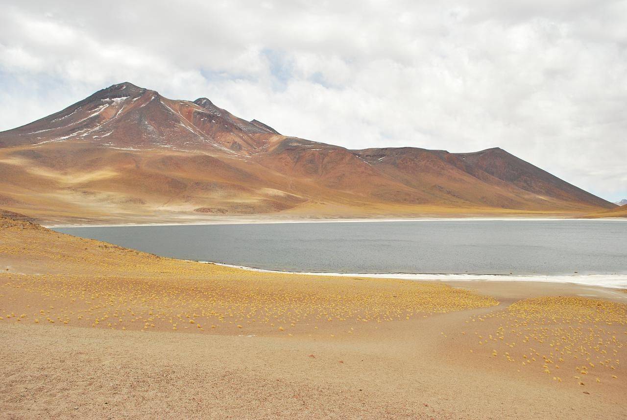 Desierto de Atacama y lagunas altiplánicas