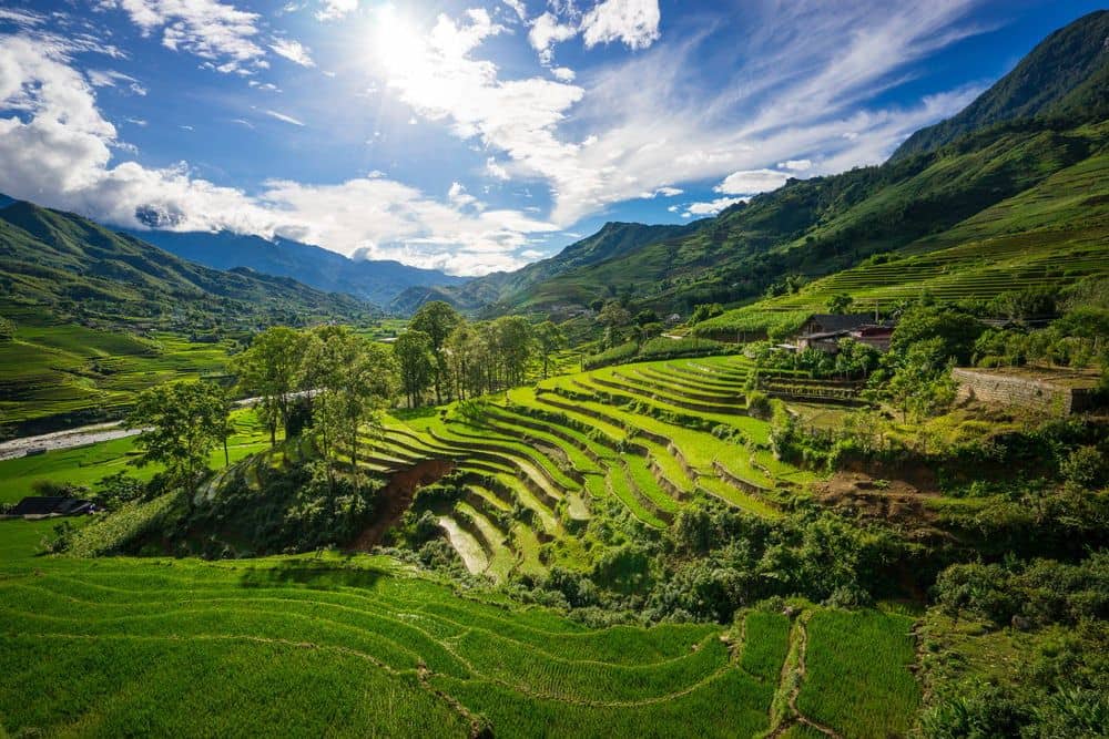 De rijstvelden van de Mường Hoa vallei