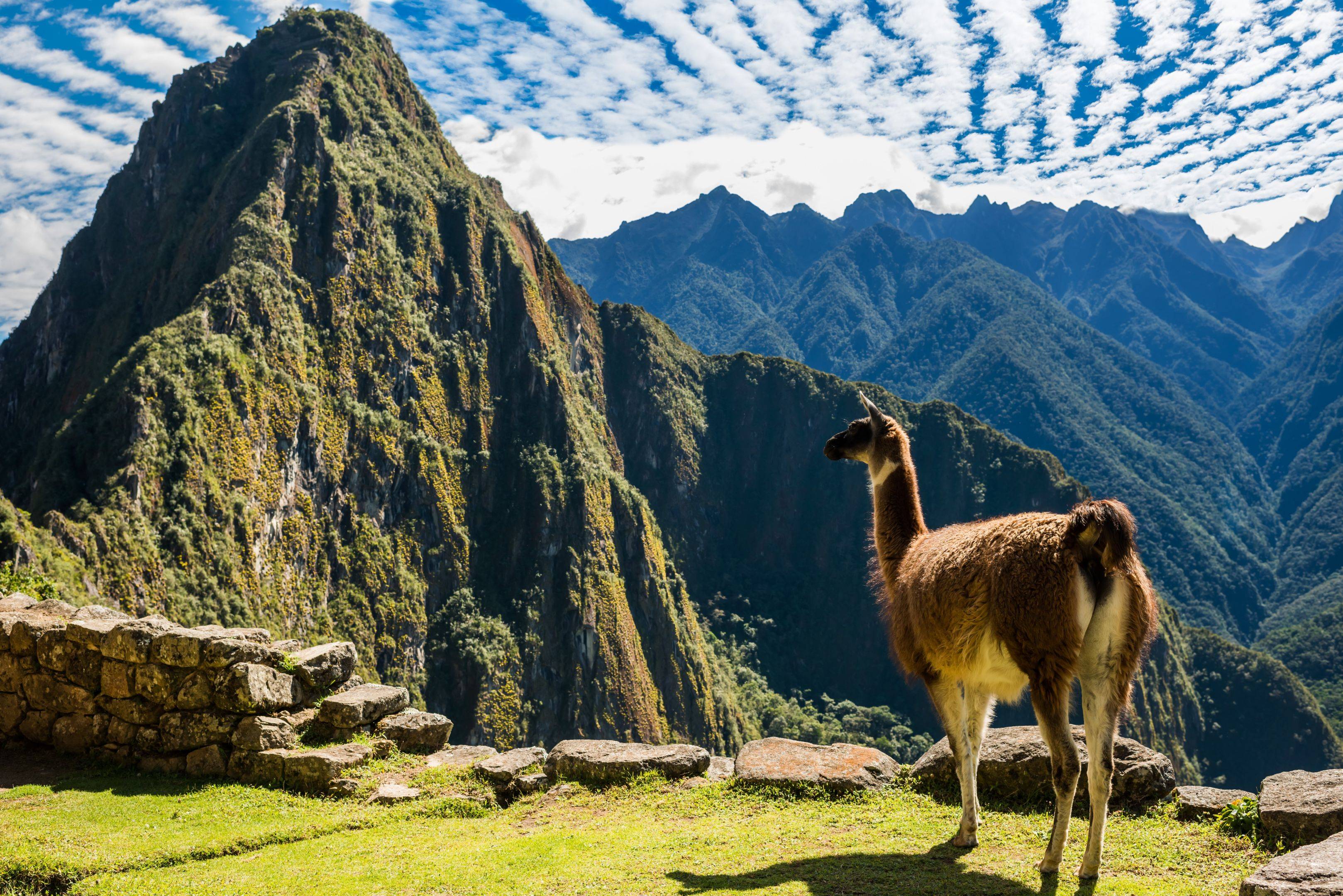 Visita di Machu Picchu e ritorno a Cusco