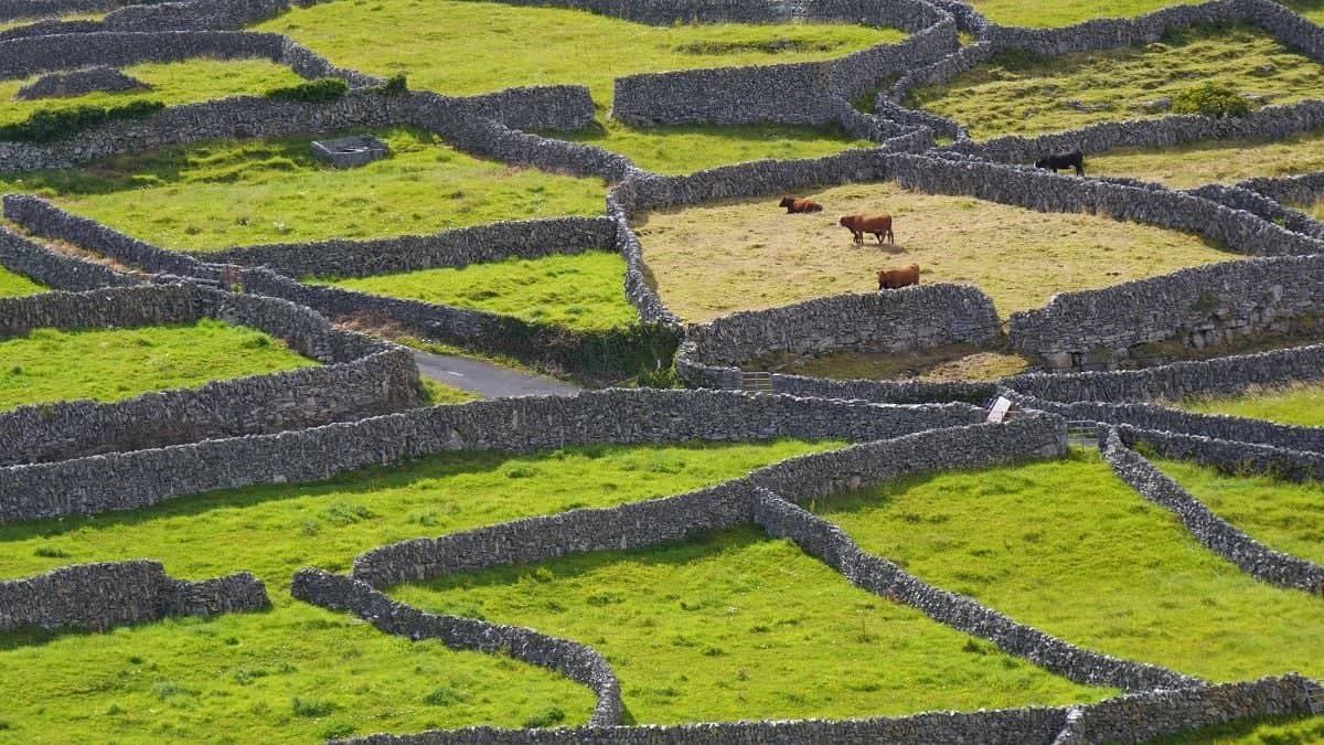 Les îles d'Aran et le Connemara