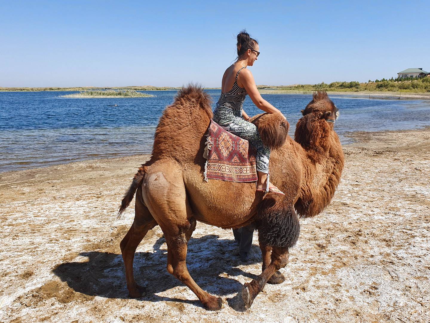 Paseo en camello a orillas de Aydarkul